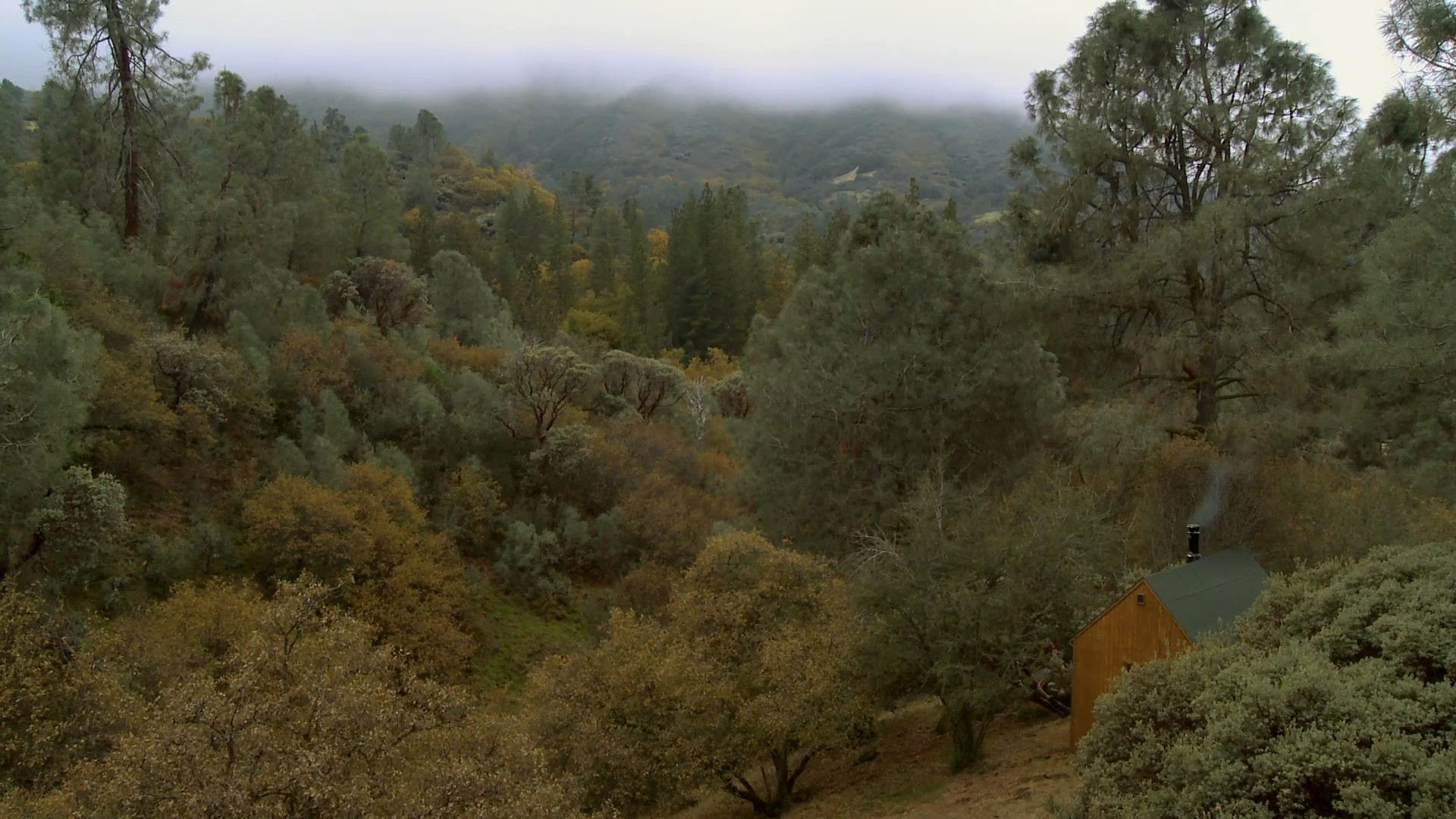 Stemple Pass Background