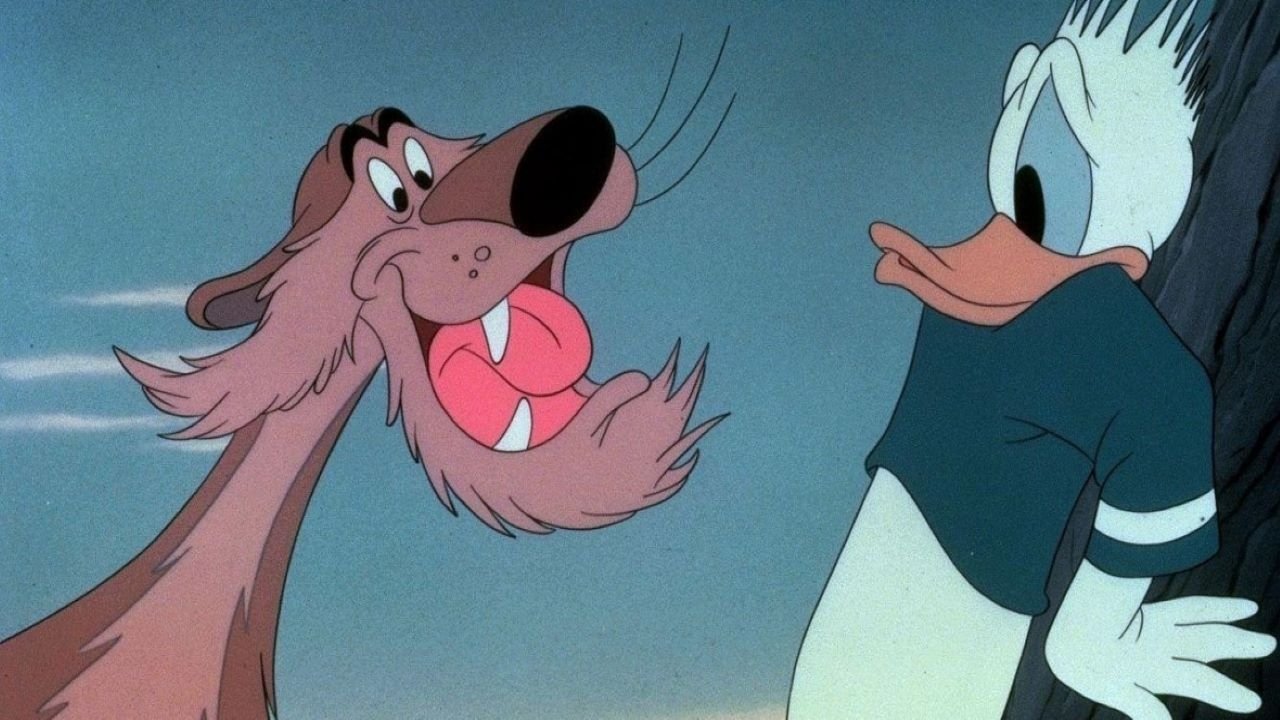 Lion Around Background