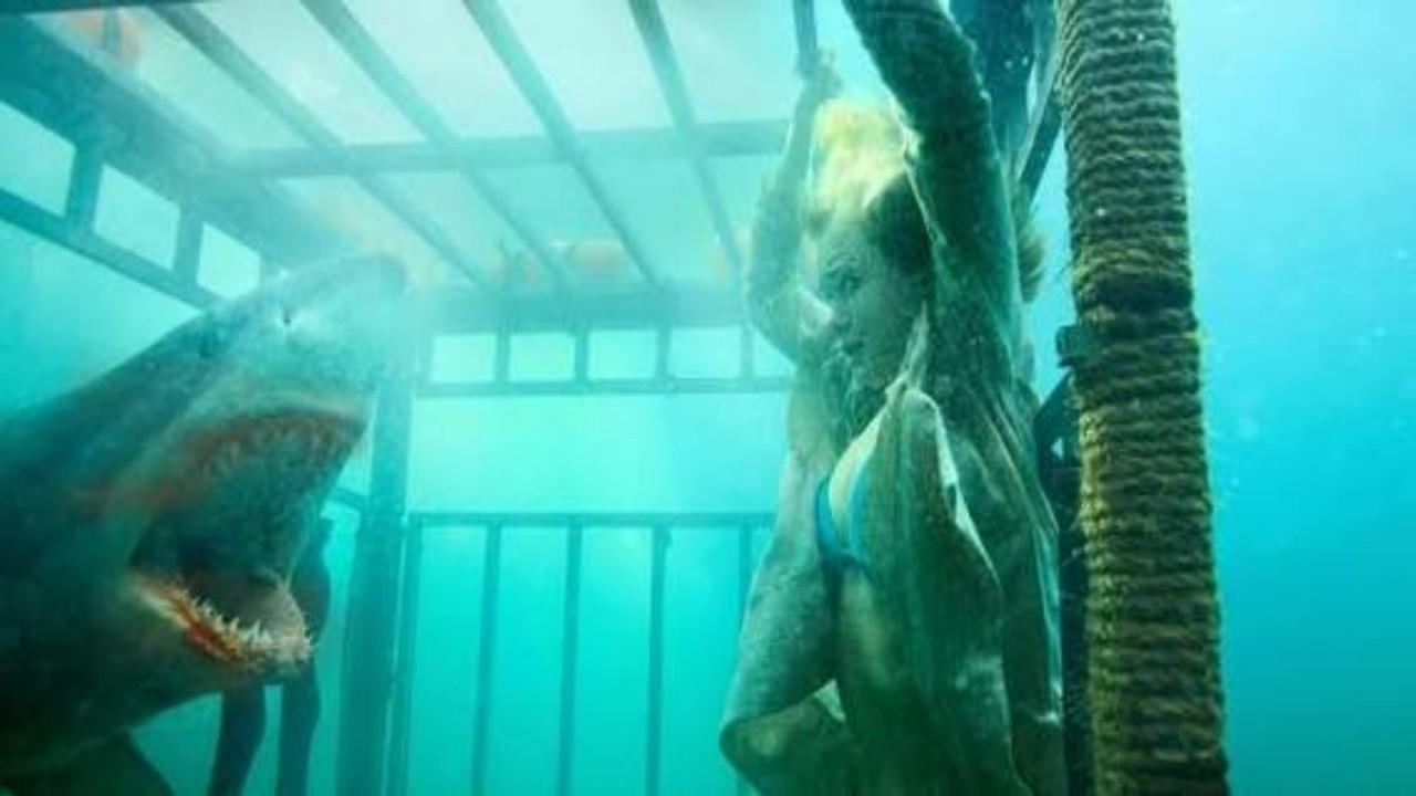 Raging Sharks Background