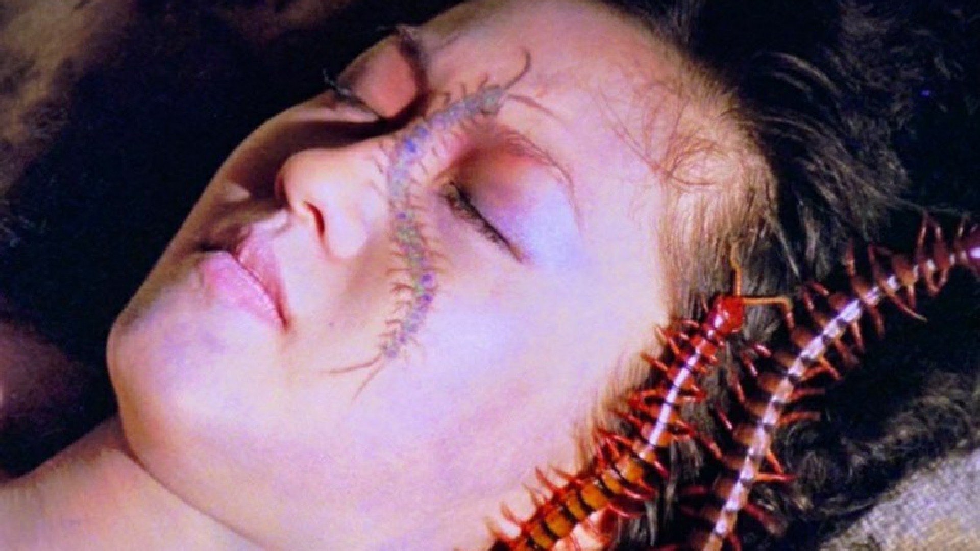 Centipede Horror Background