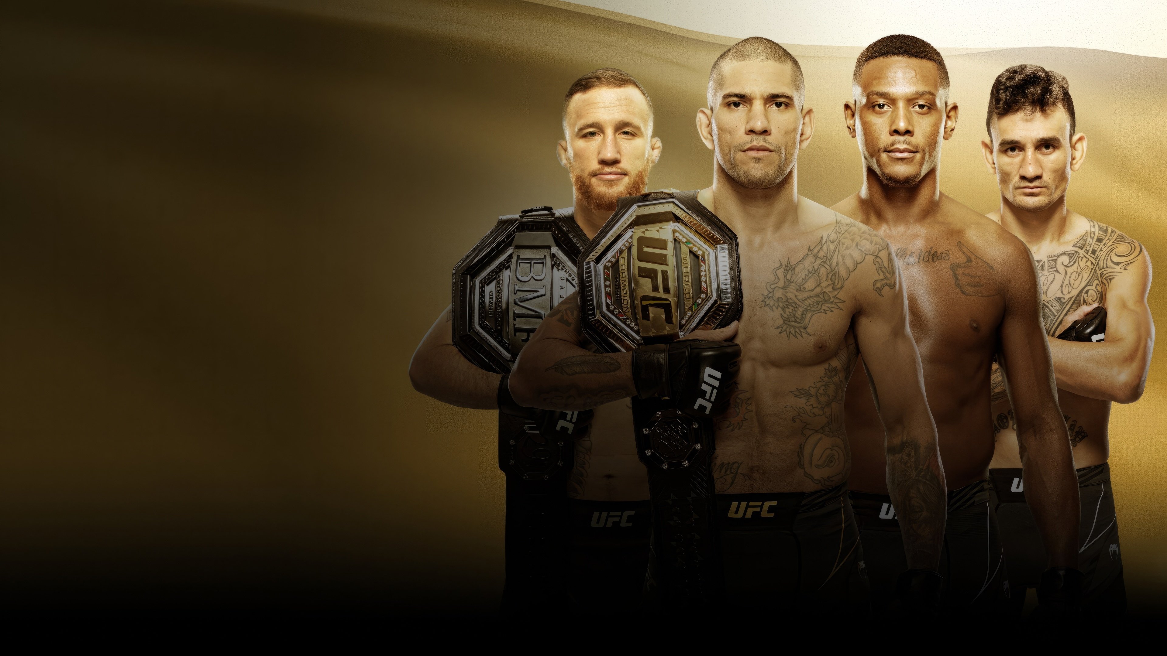 UFC 300: Pereira vs. Hill Background