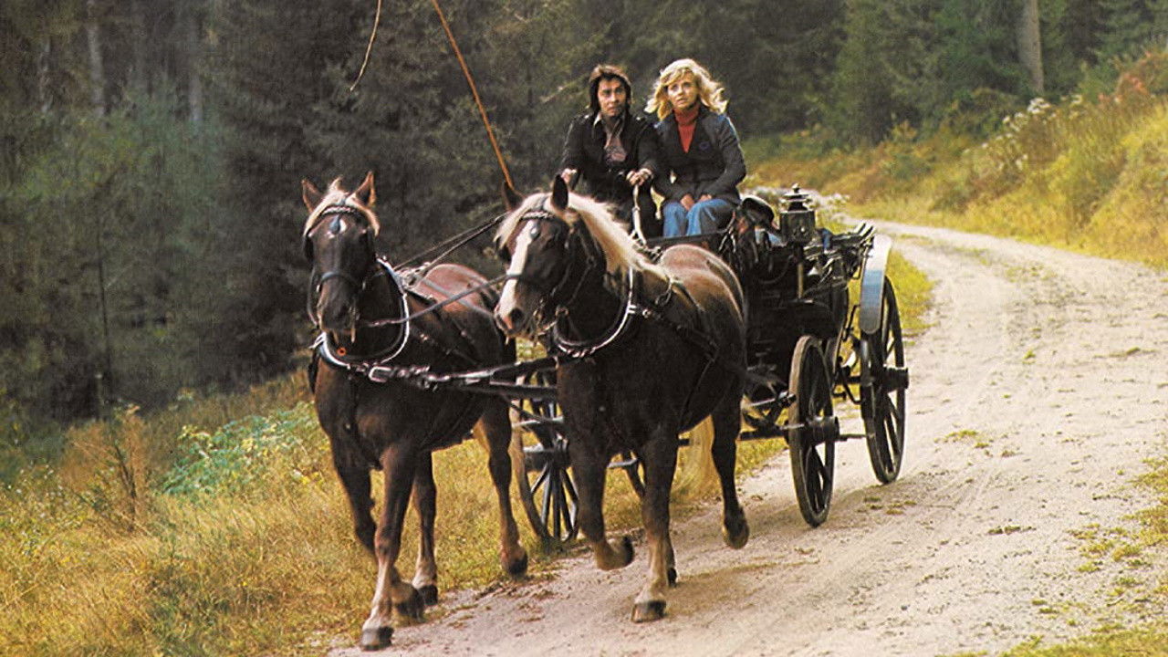 Schwarzwaldfahrt aus Liebeskummer Background