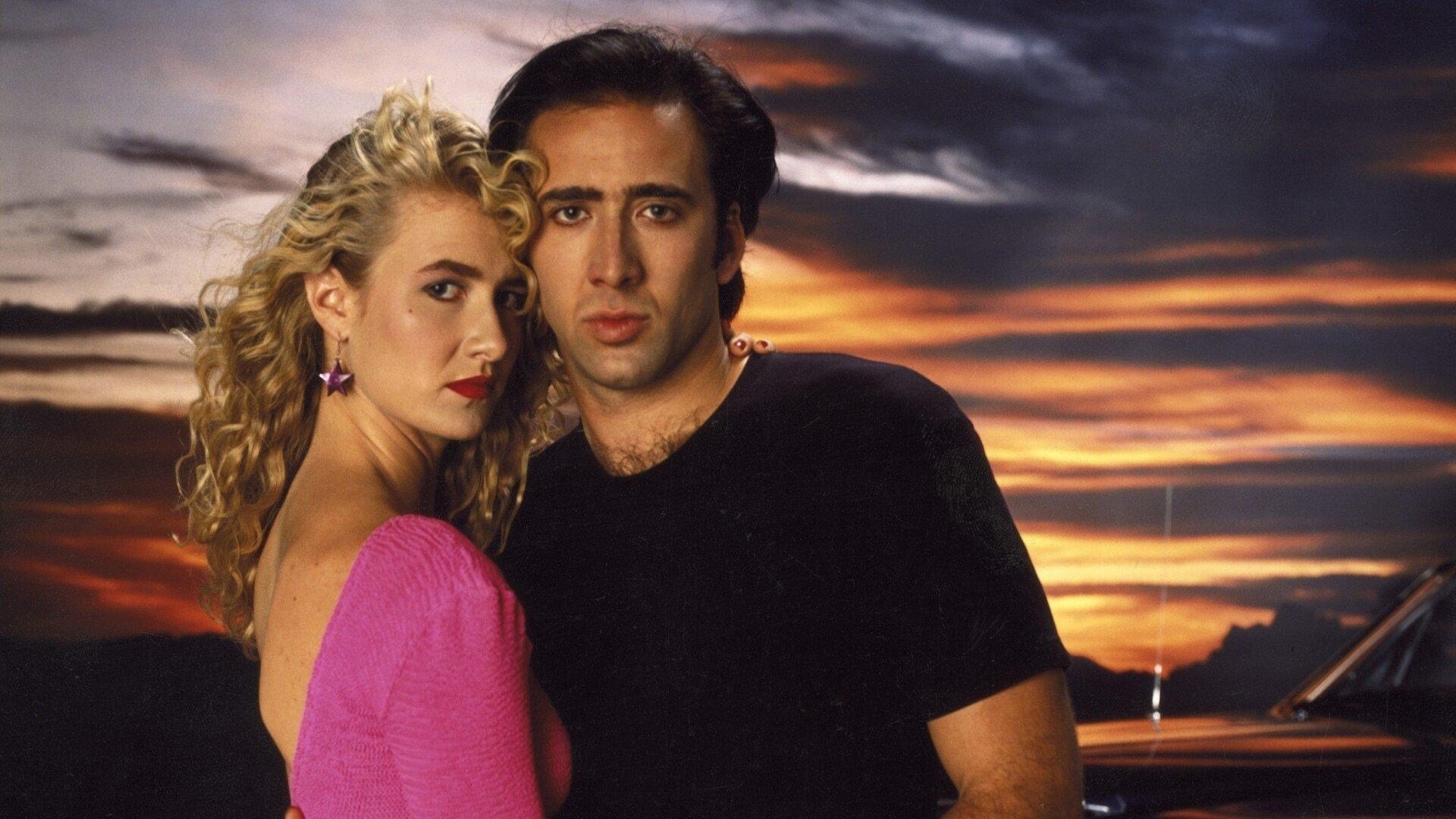 Wild at Heart Background