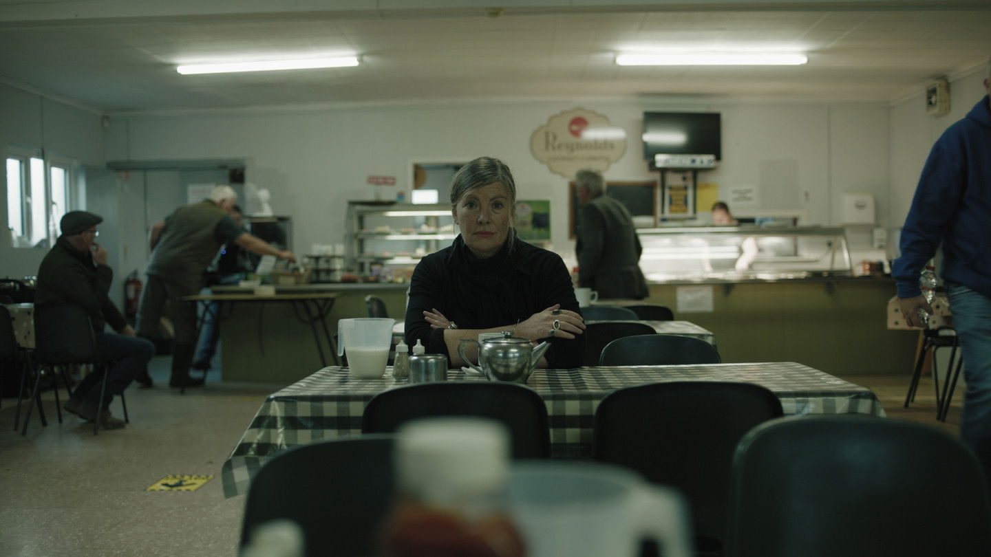 Notes from Sheepland Background