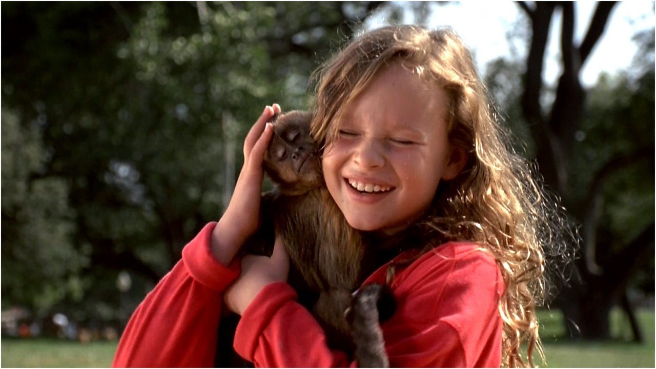 Monkey Trouble Background