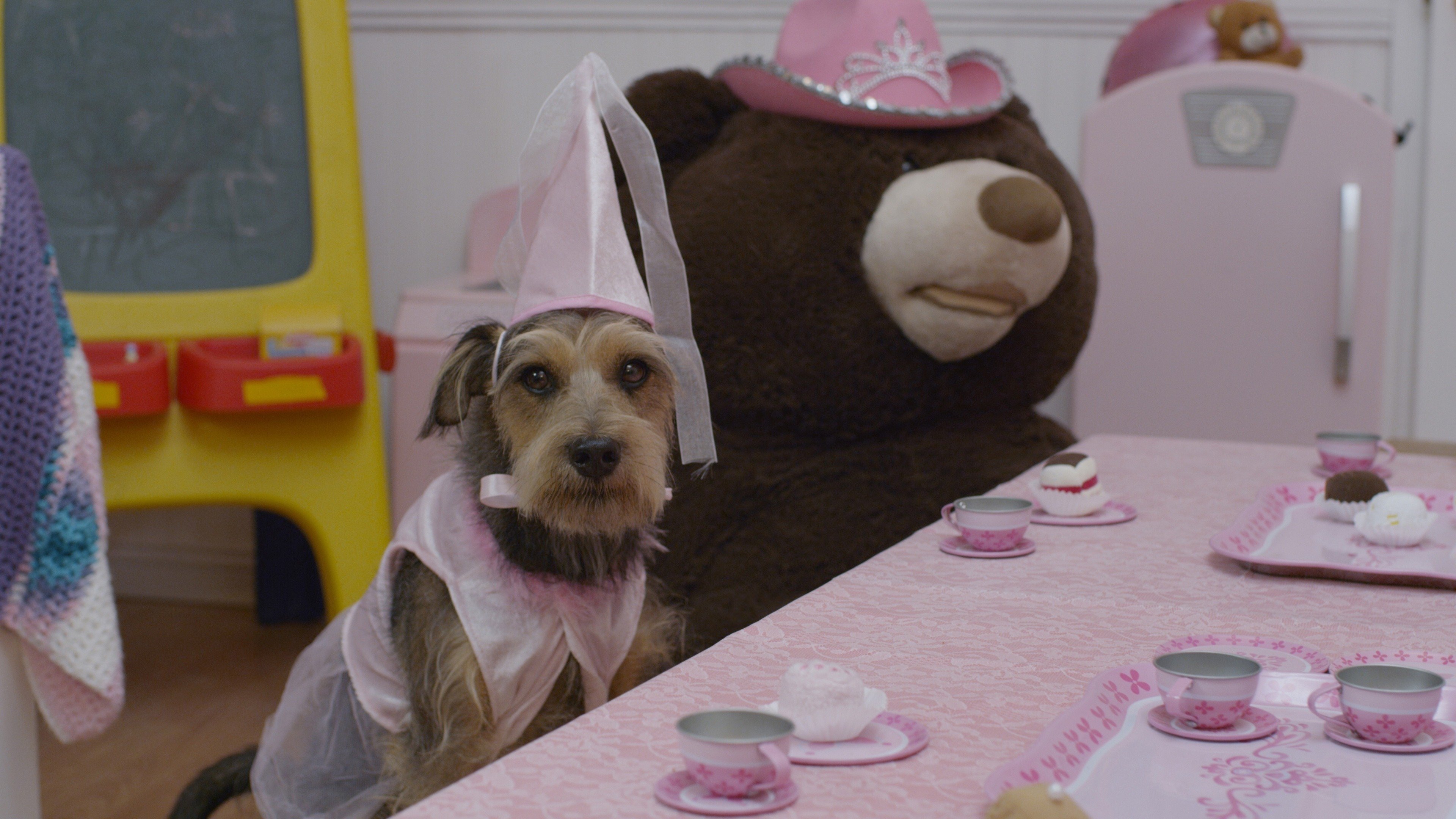 Robo-Dog: Airborne Background