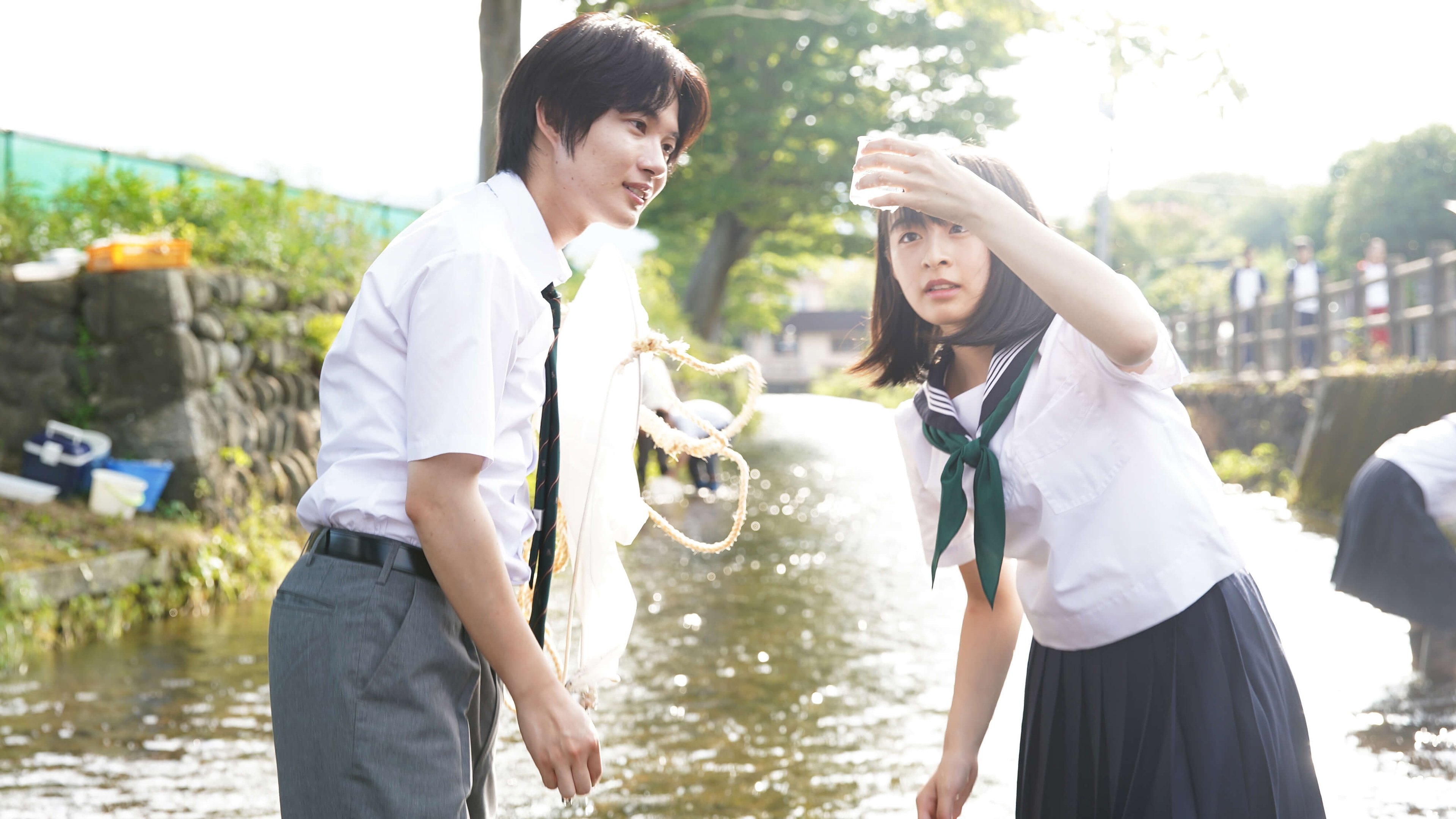 Last Letter Background