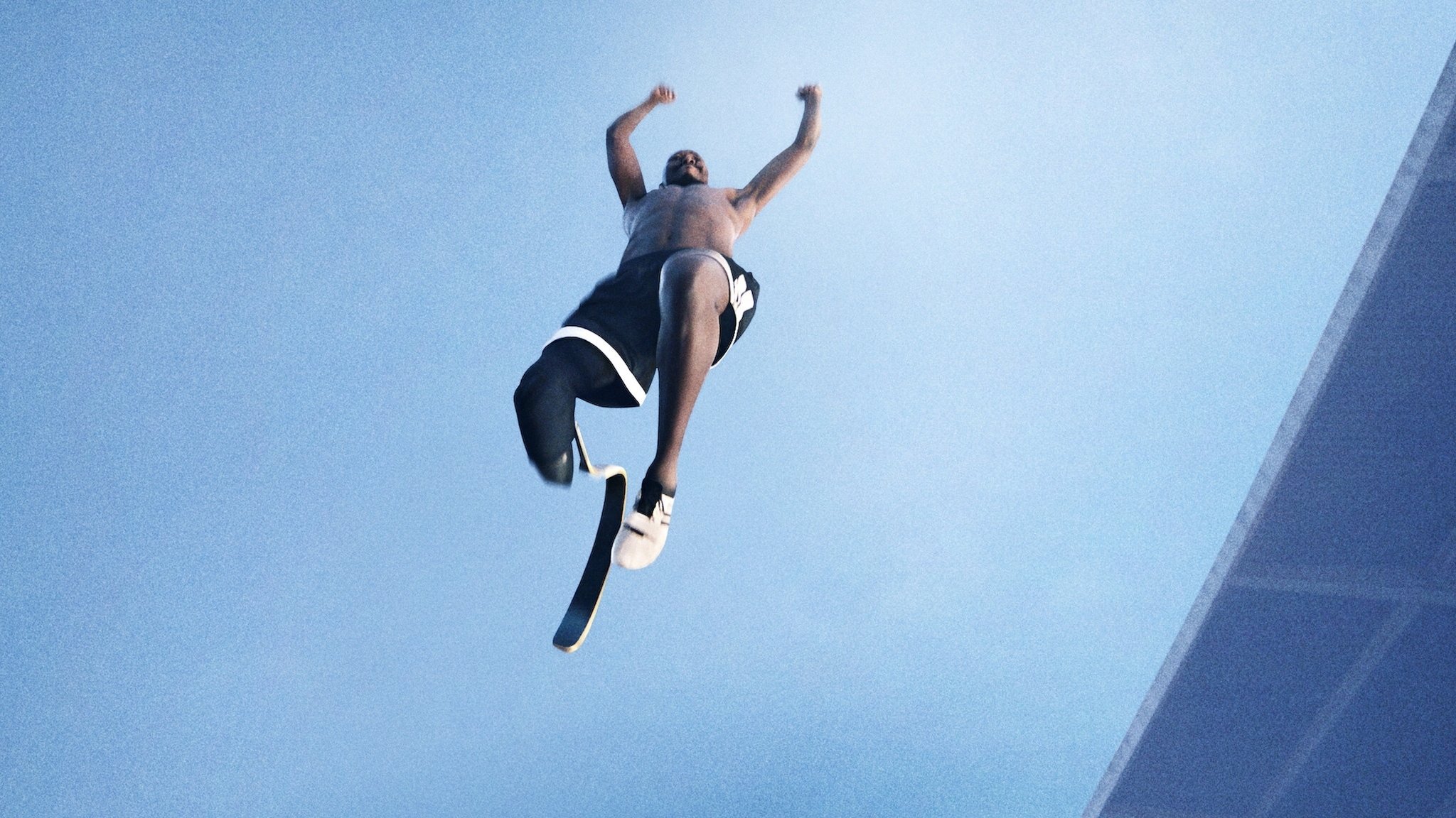 Rising Phoenix Background