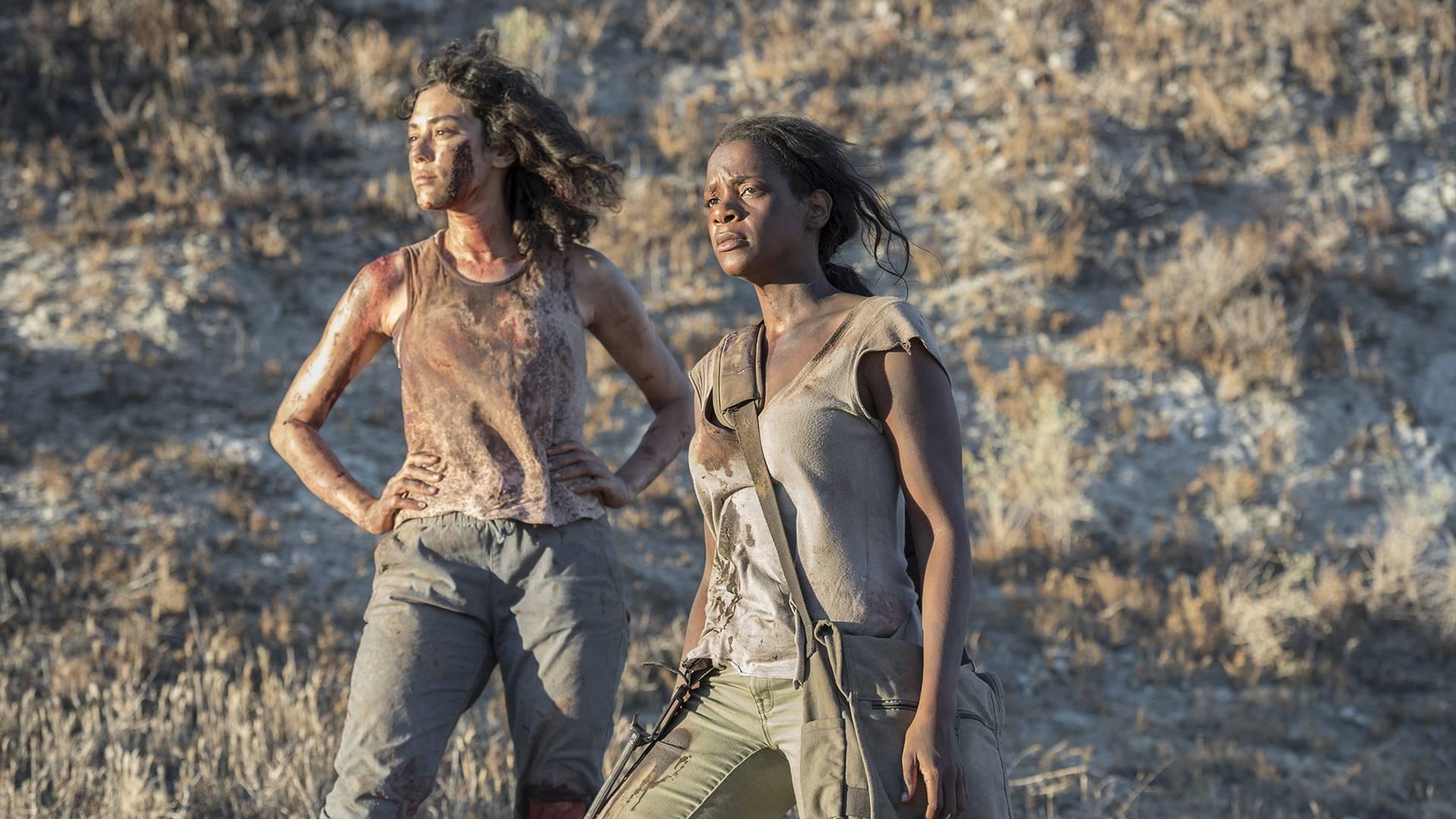 Fear the Walking Dead: Passage Background