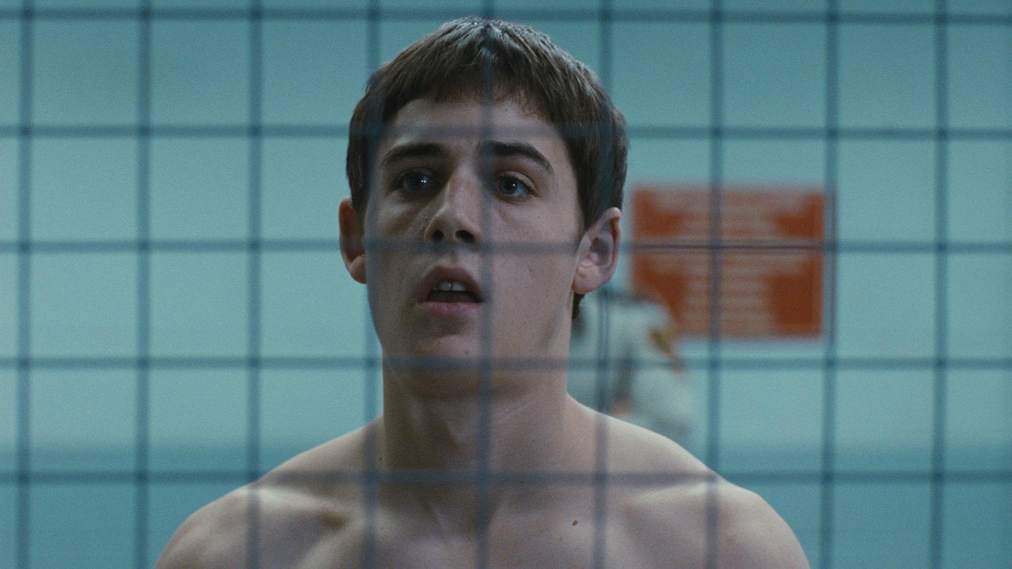 Dog Pound Background