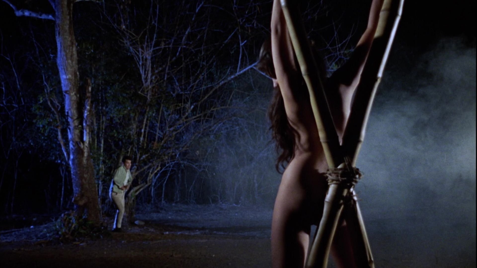 Brides of Blood Background