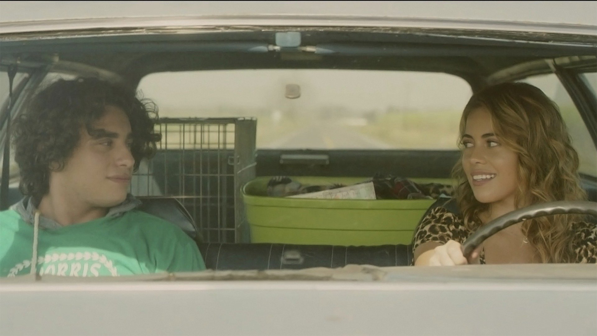 Eat Brains Love Background