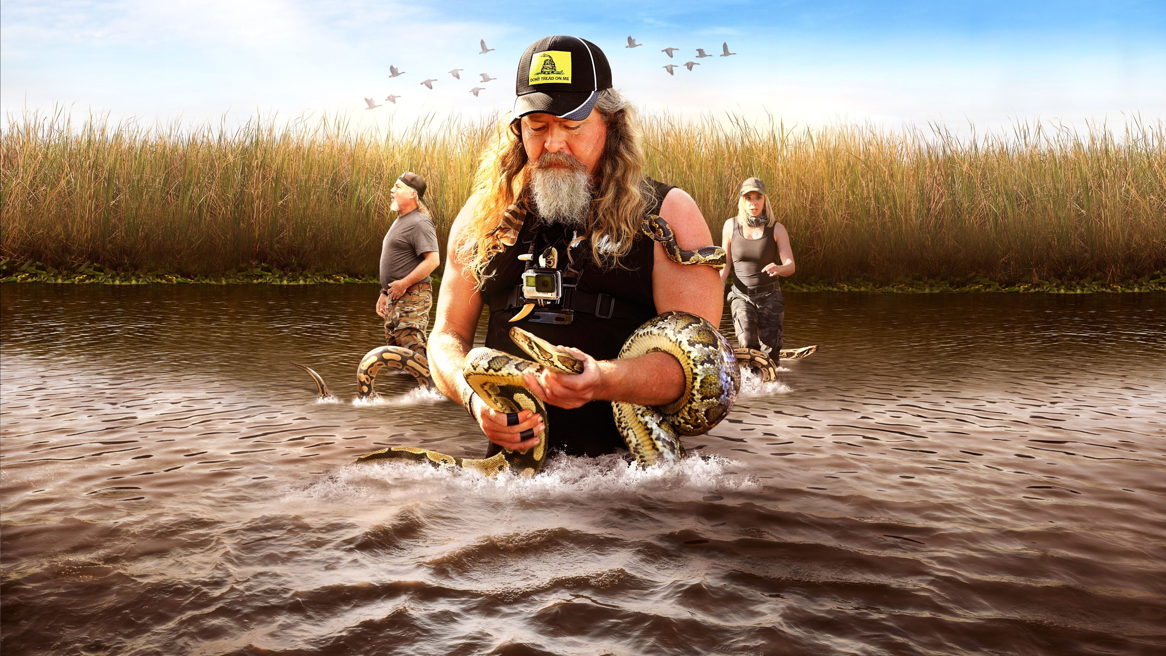 Guardians of the Glades Background