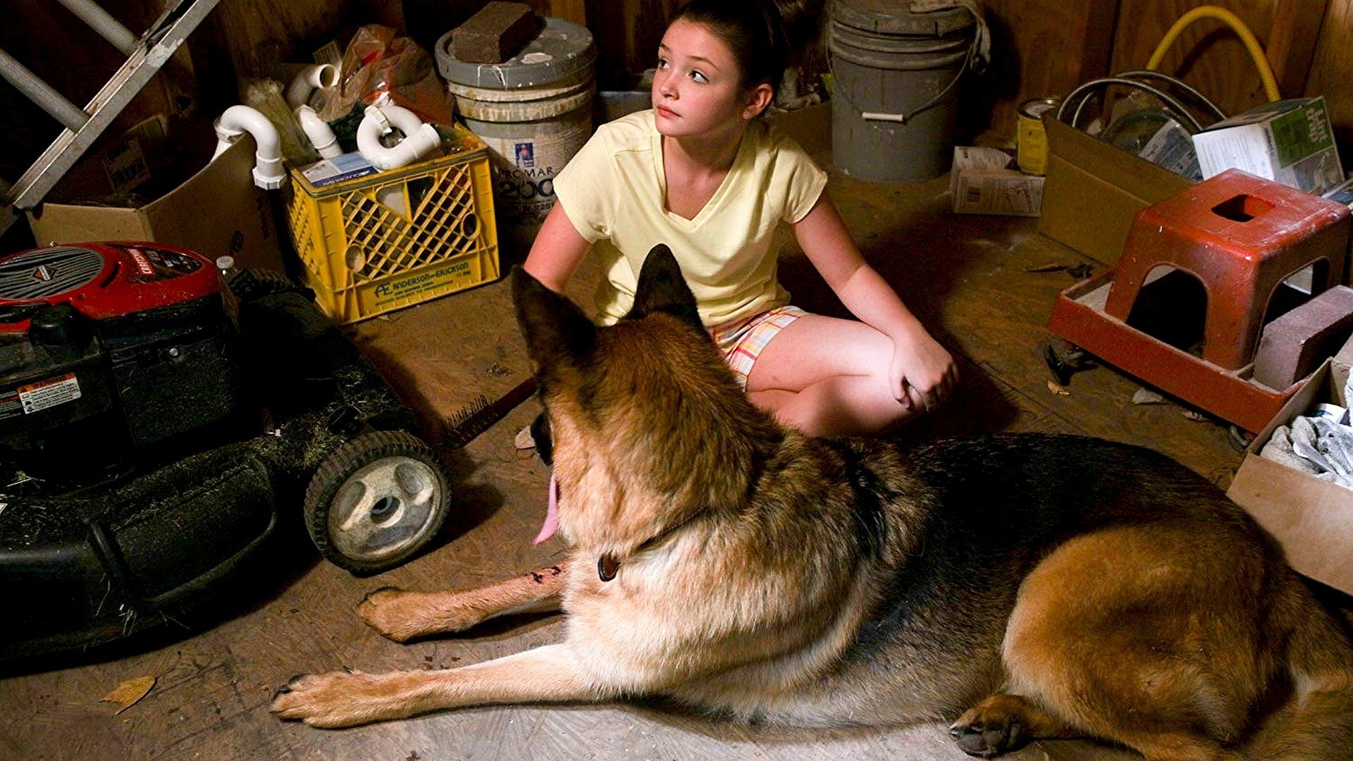 Belong To Us Background