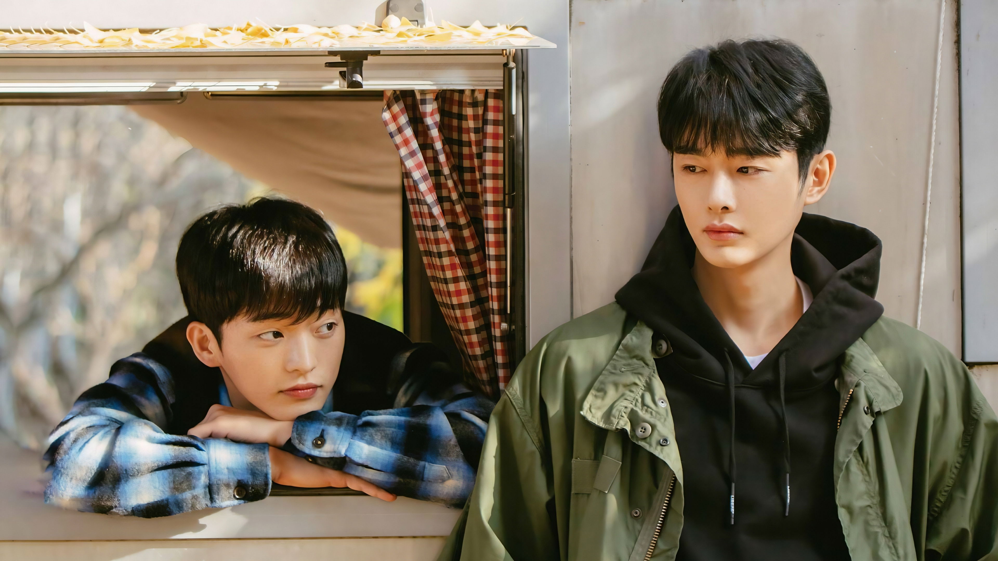 Cherry Blossoms After Winter Background