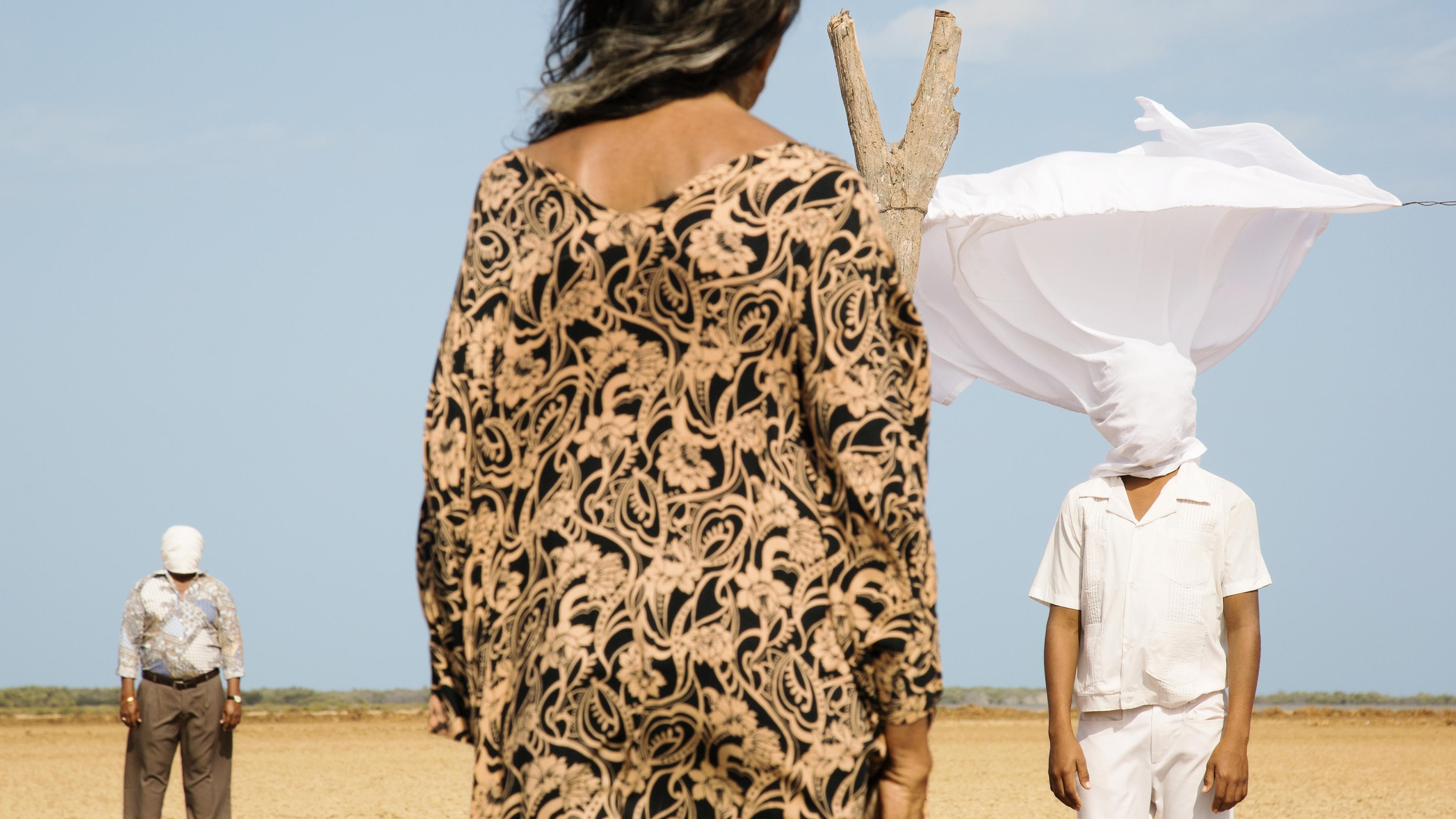 Pájaros de verano Background