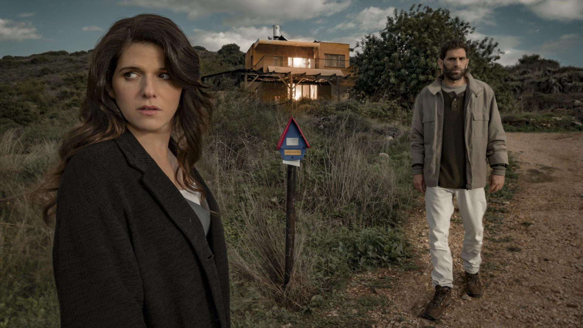 Sleeping Bears Background