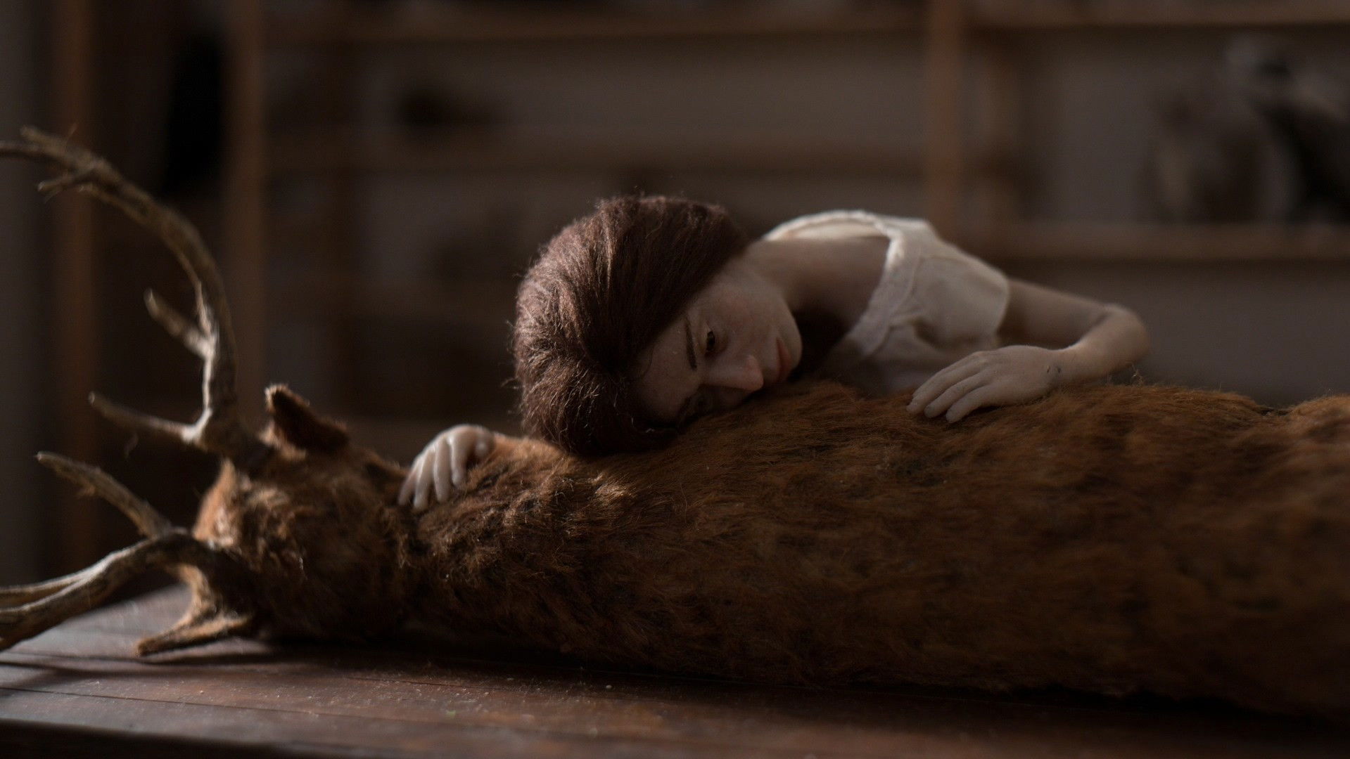 Imbued Life Background