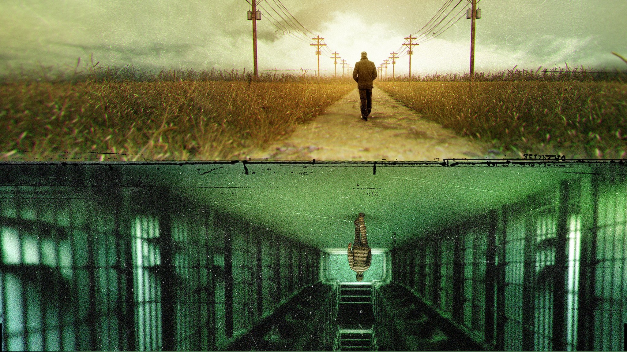 The Innocence Files Background