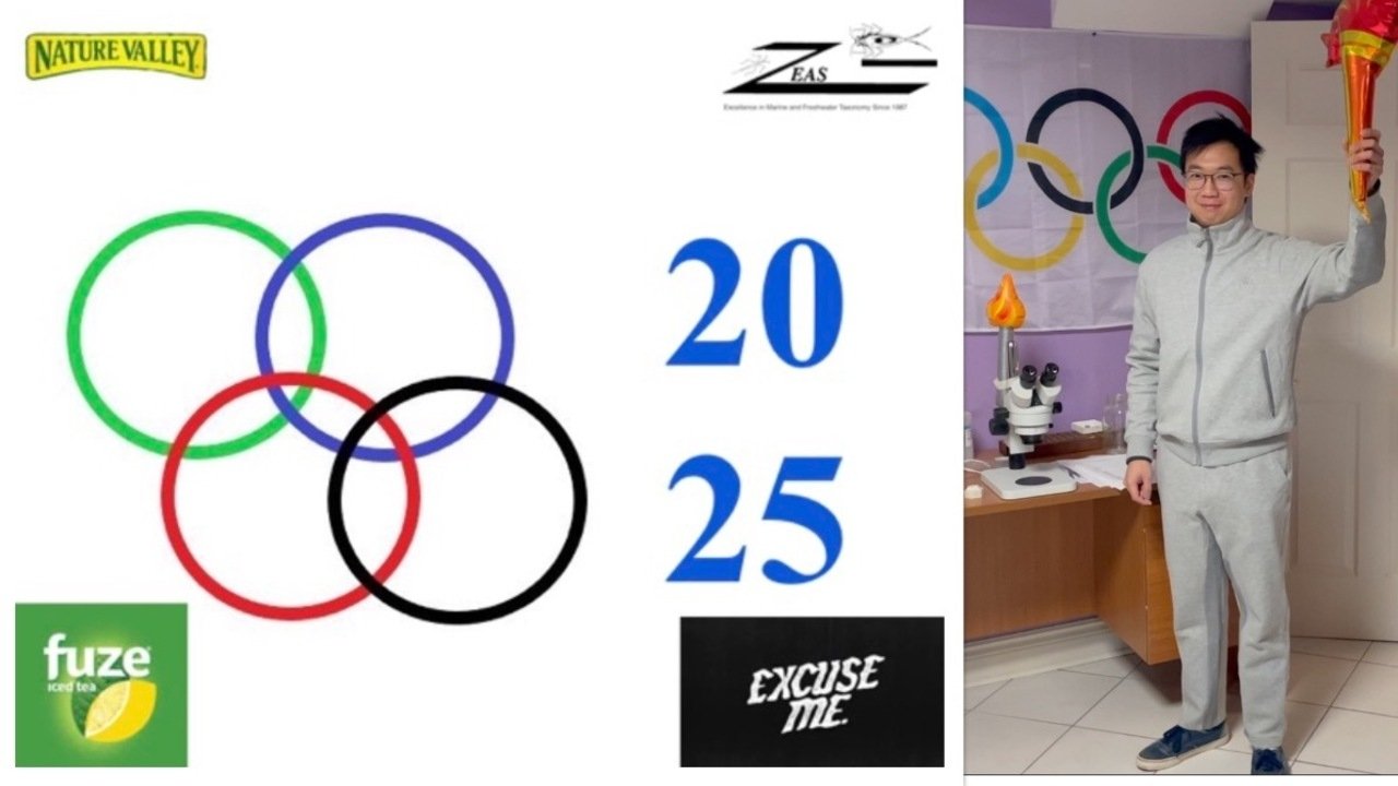 Lab Olympics 2025 Background
