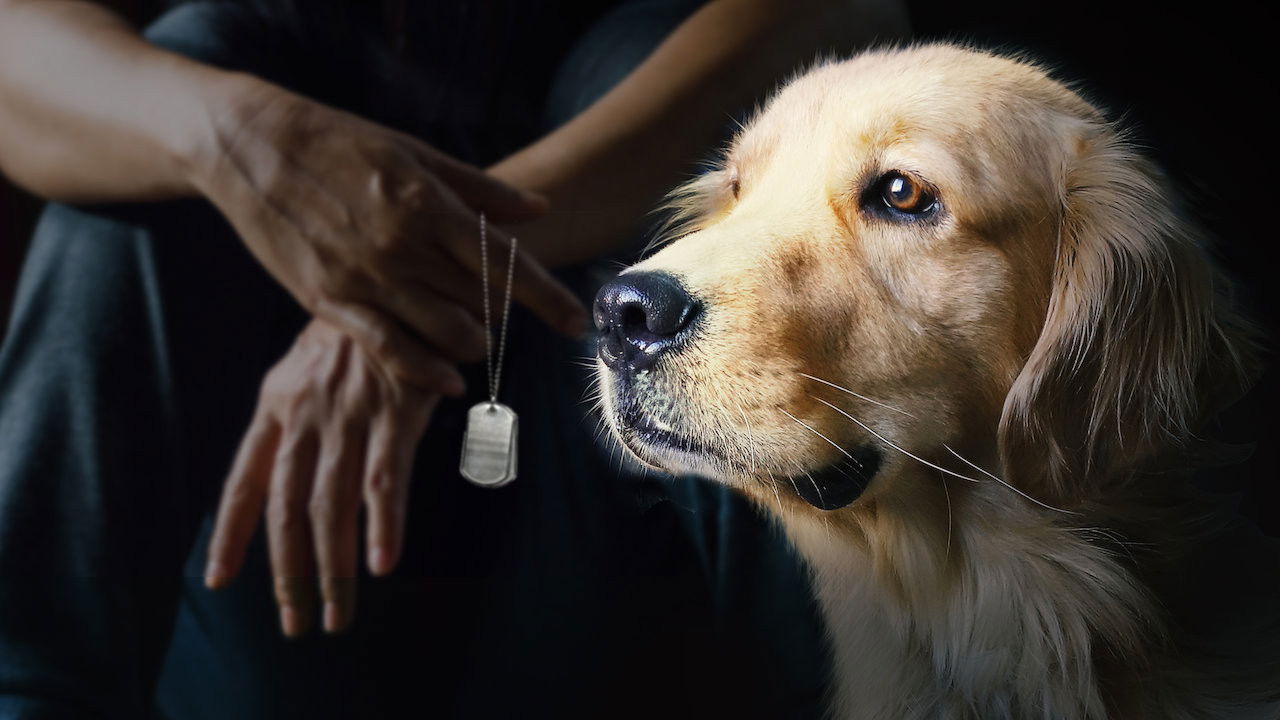 To Be of Service Background