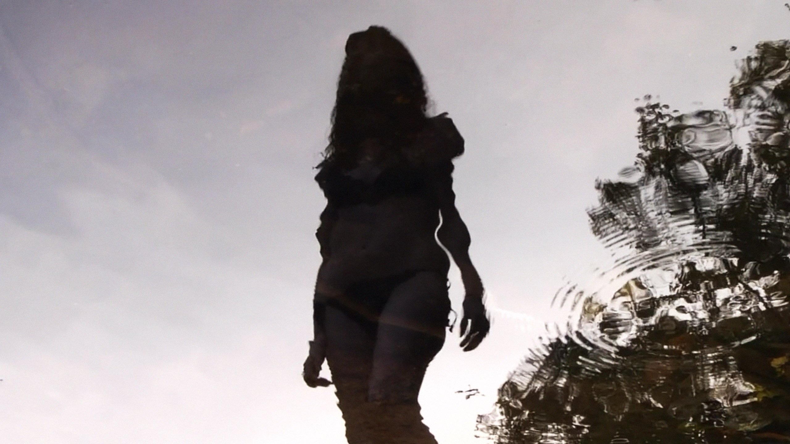 Toad Road Background