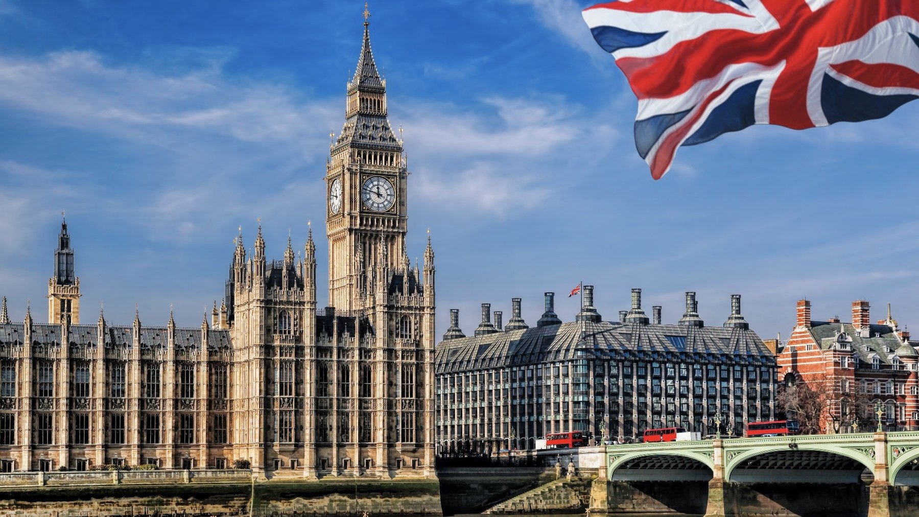 blur: Parklive Background