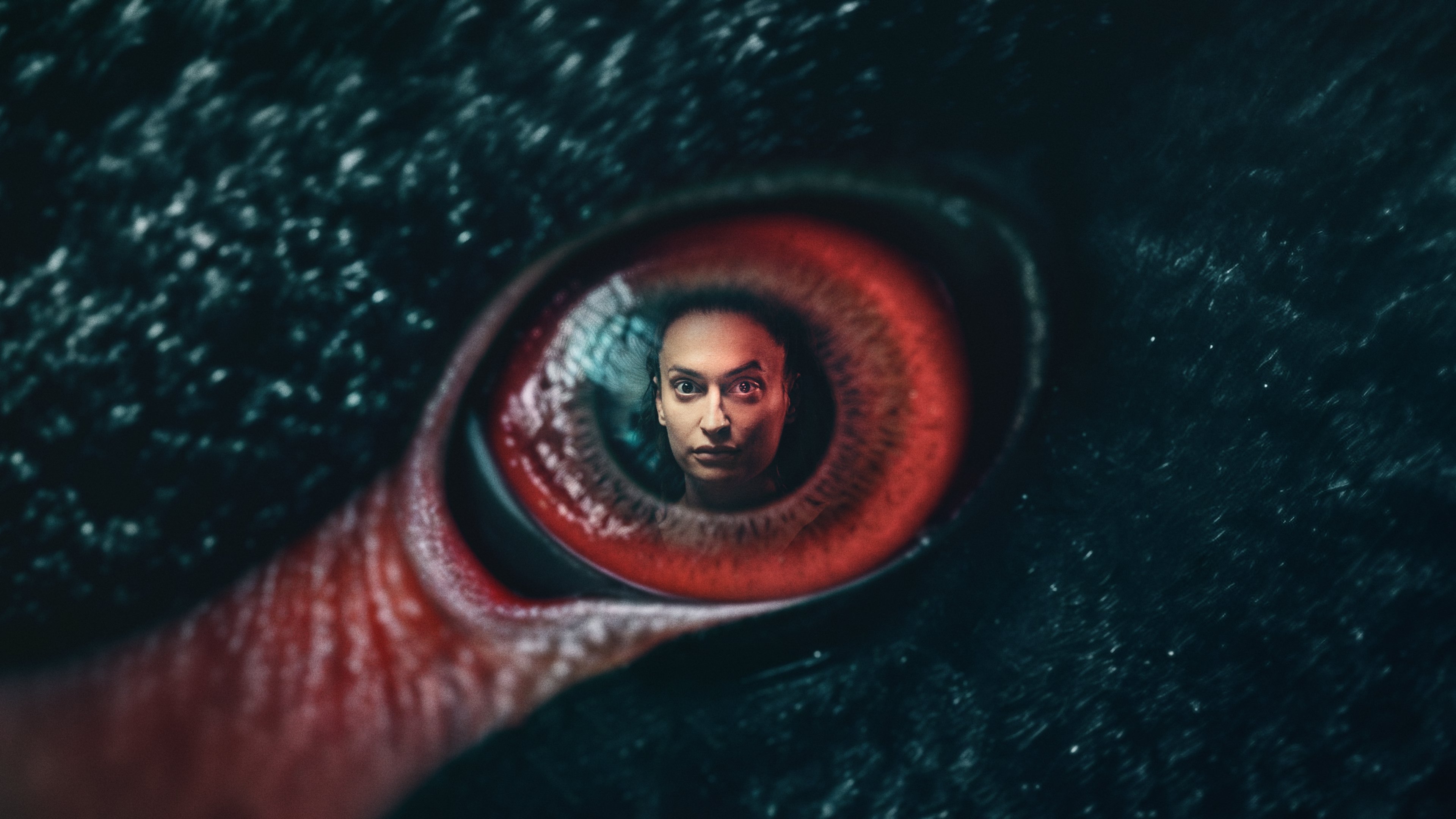 The Black Swan Background