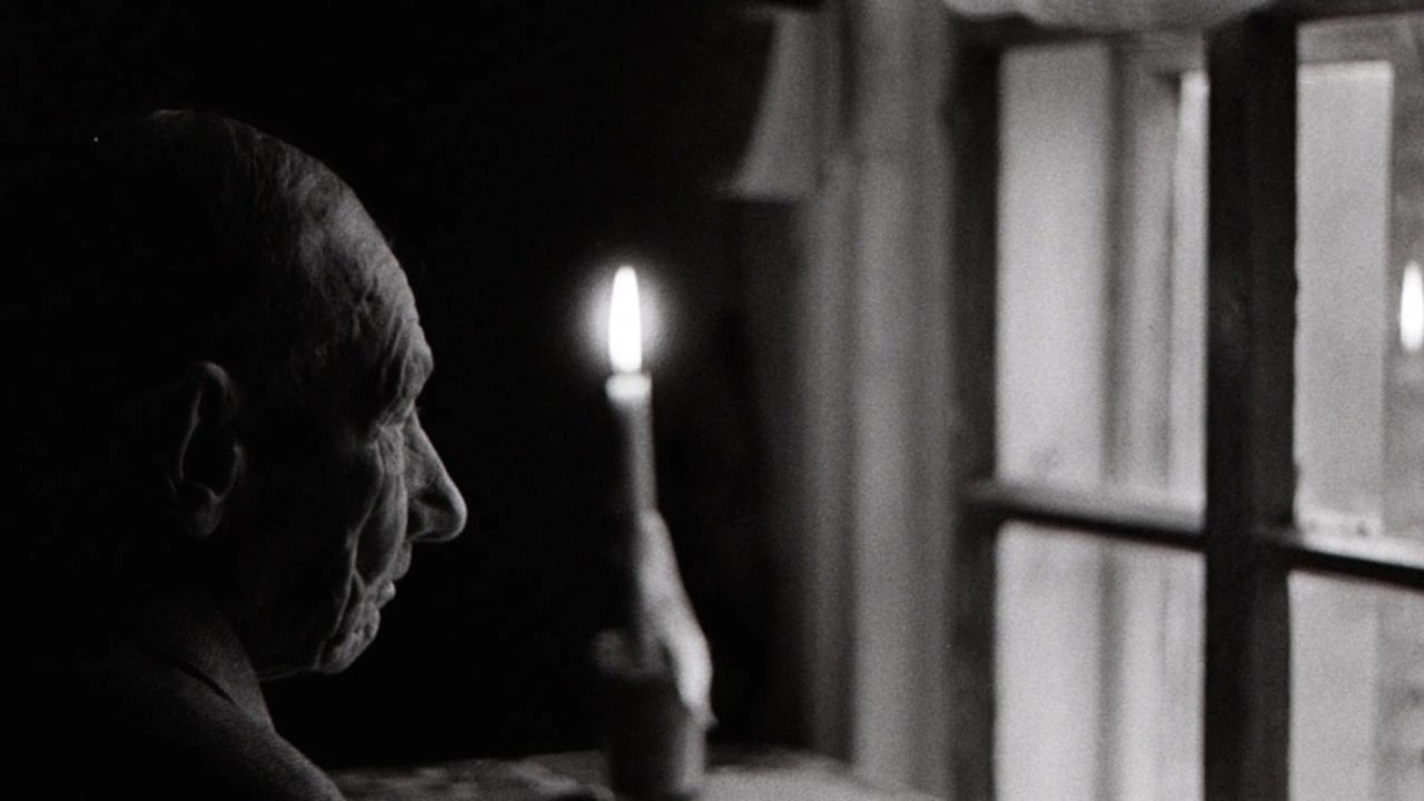 Autumn Snow Background