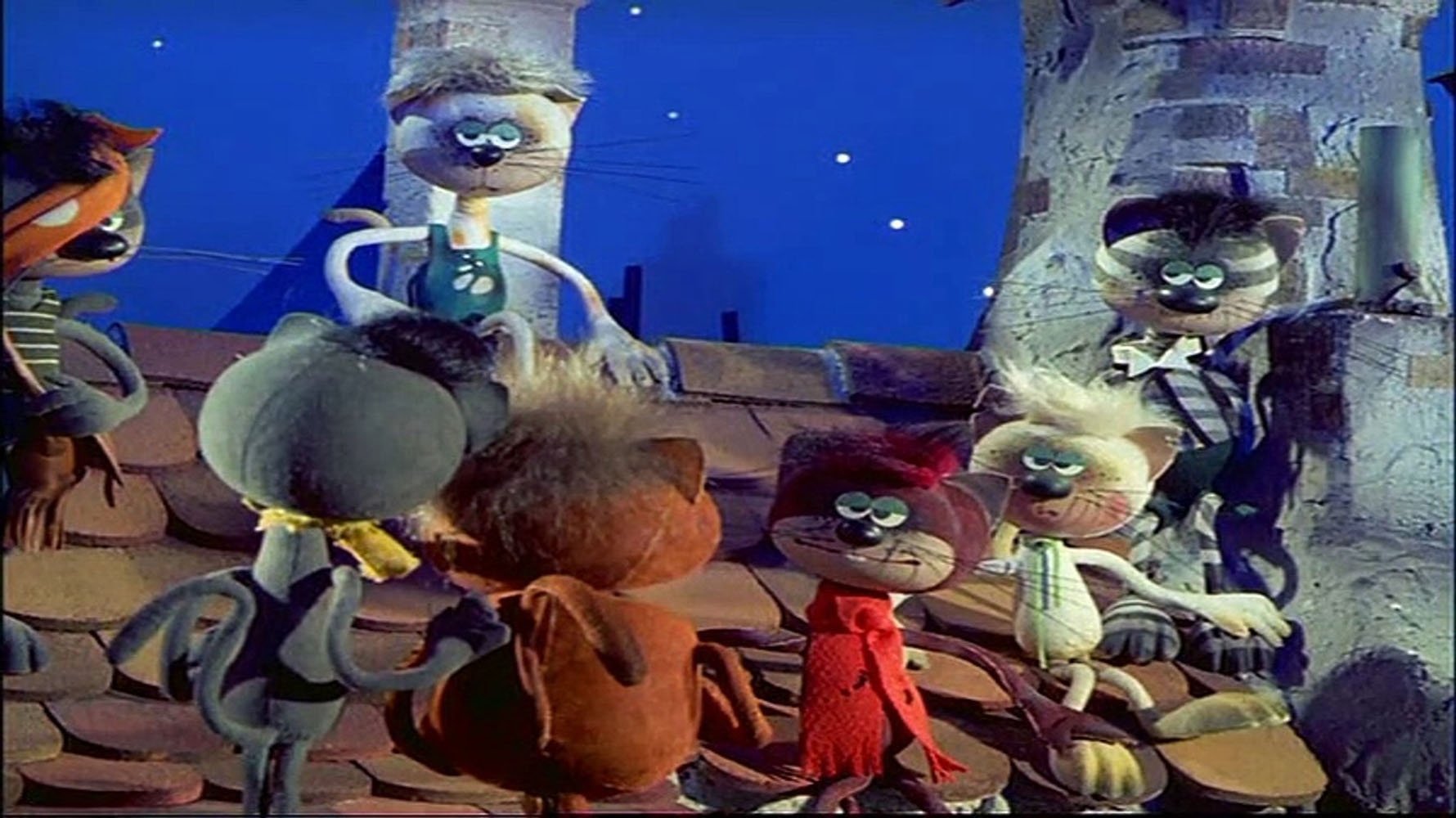 Mirr Murr a kandúr Background