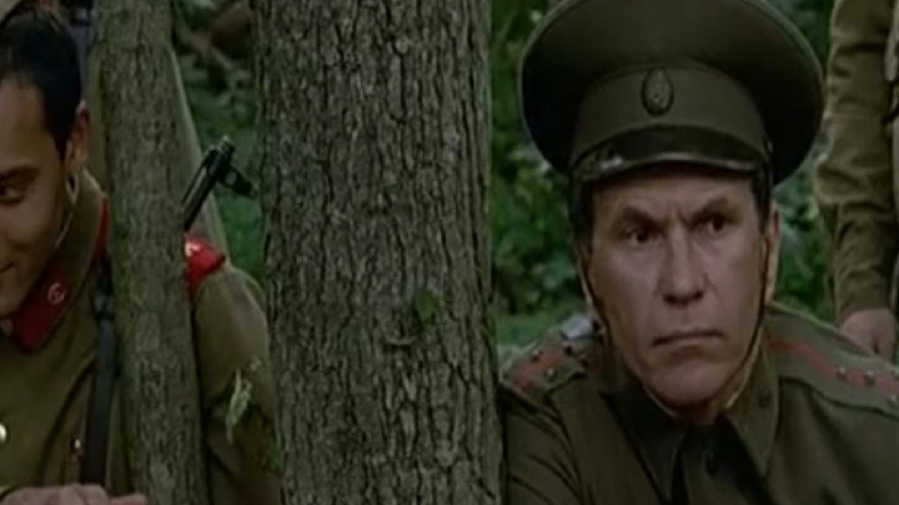 Taiga Novel Background