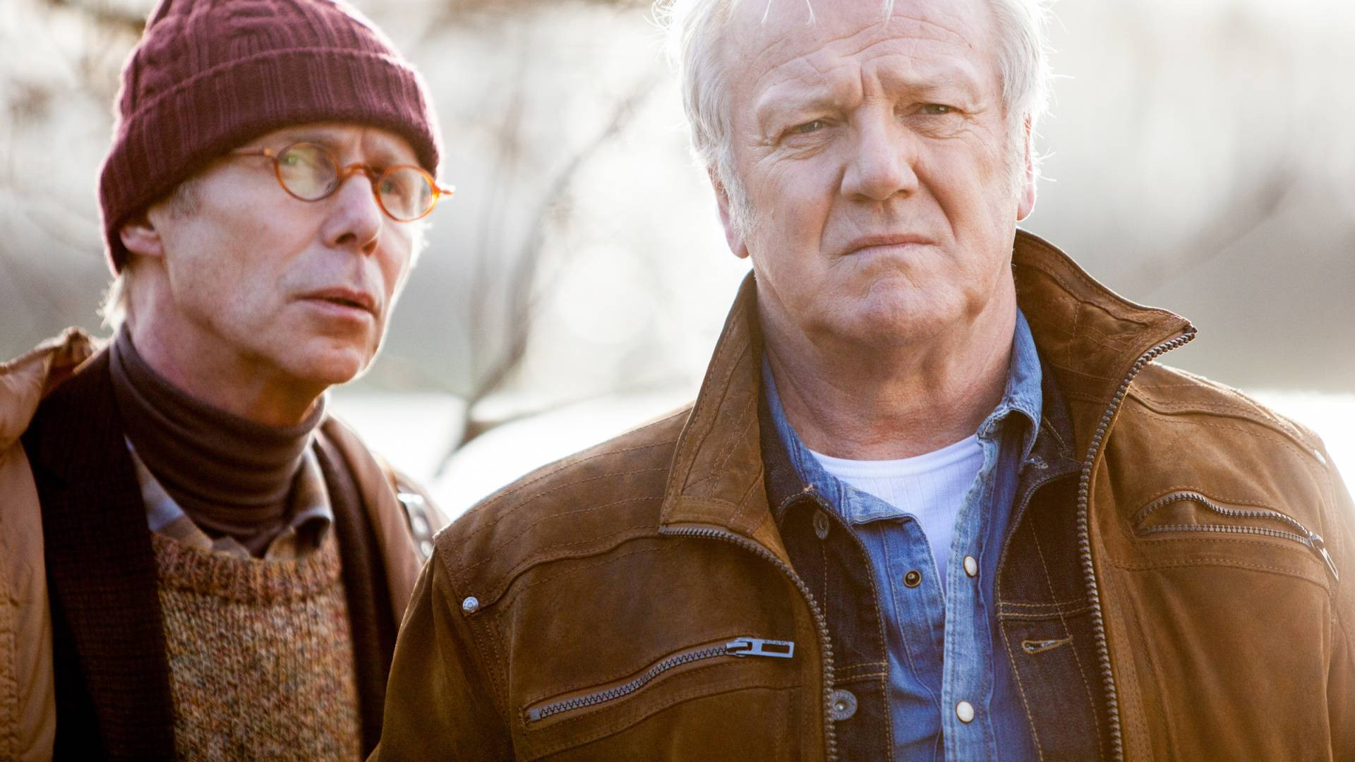 Vossenstreken Background