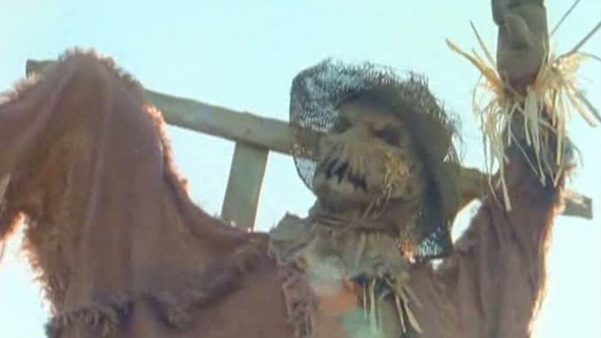 Goosebumps: The Scarecrow Walks at Midnight Background