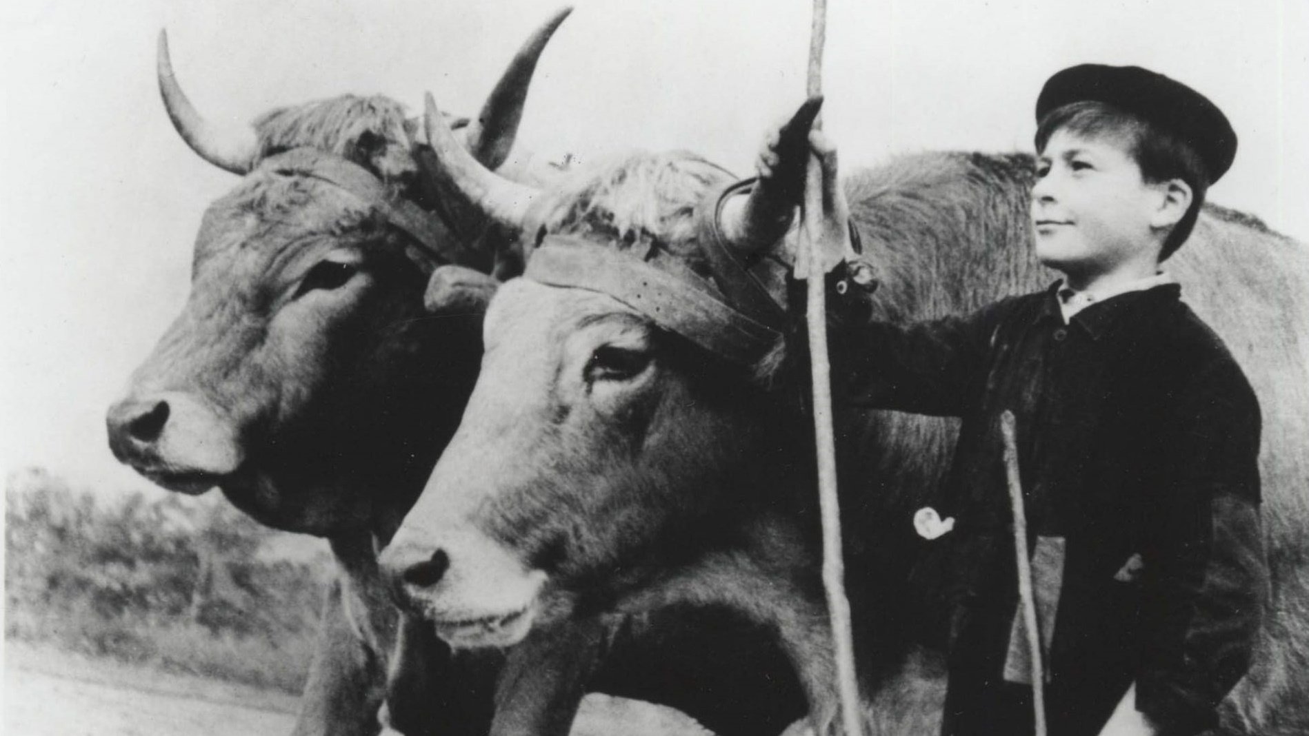 Farrebique, or the Four Seasons Background