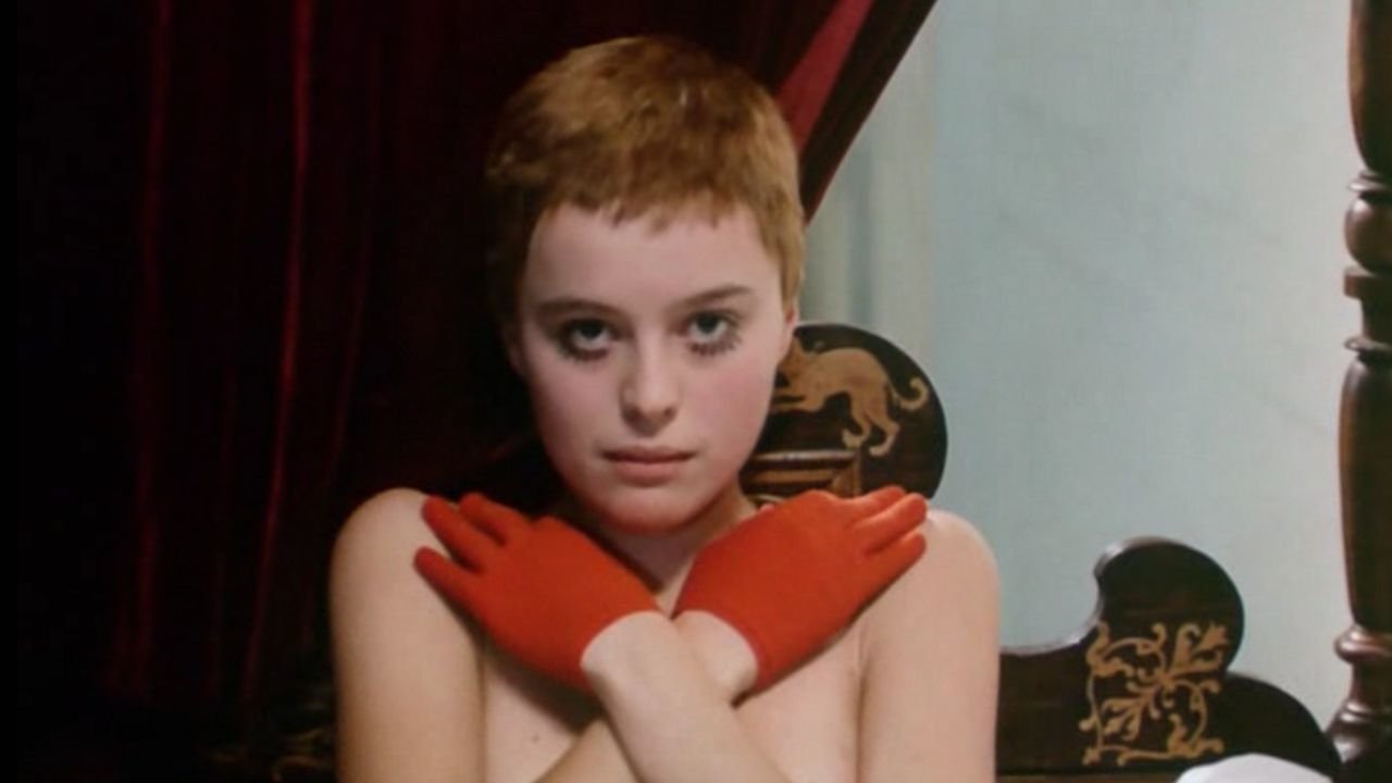 Birds, Orphans and Fools Background