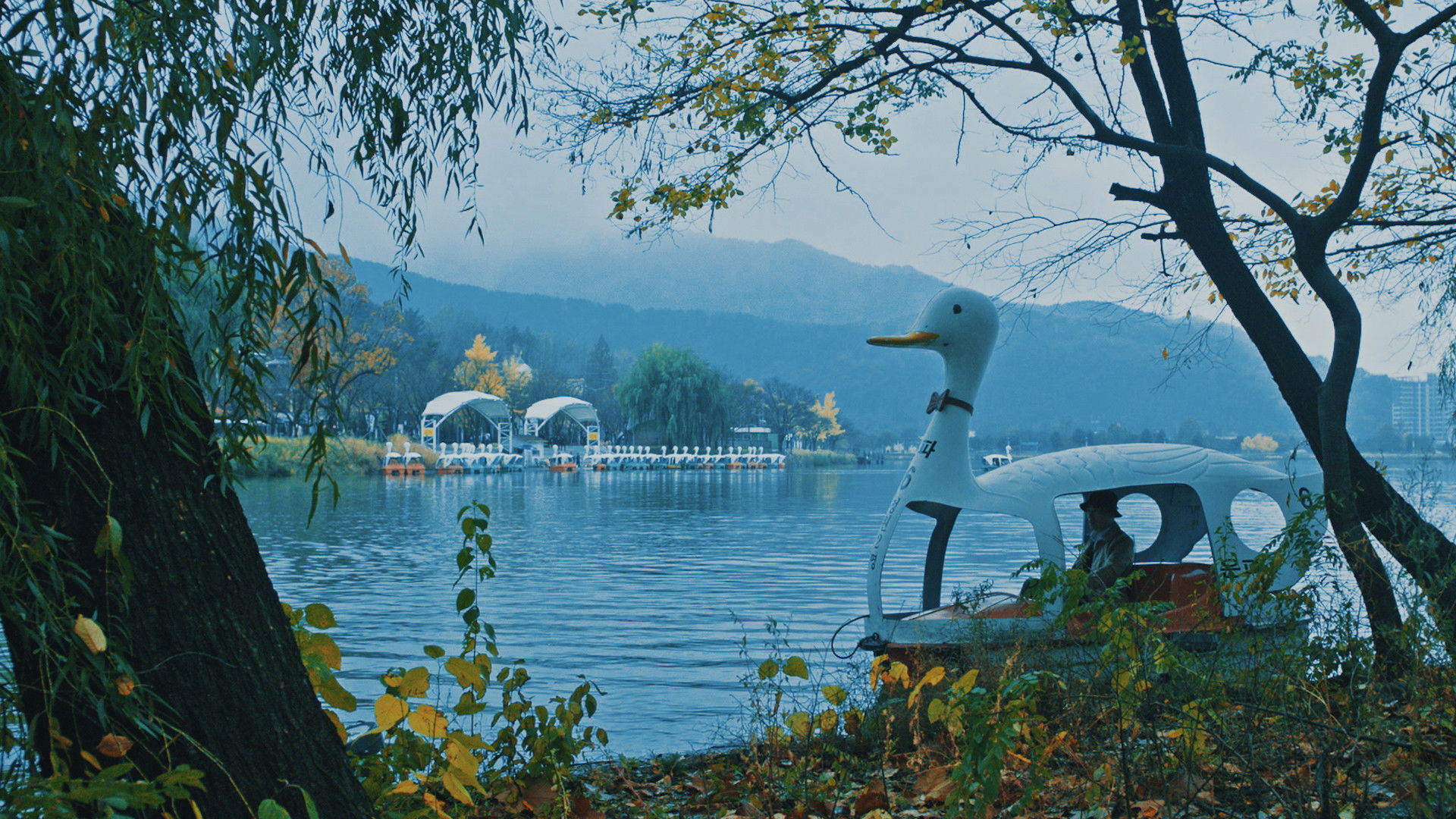 Duck Town Background