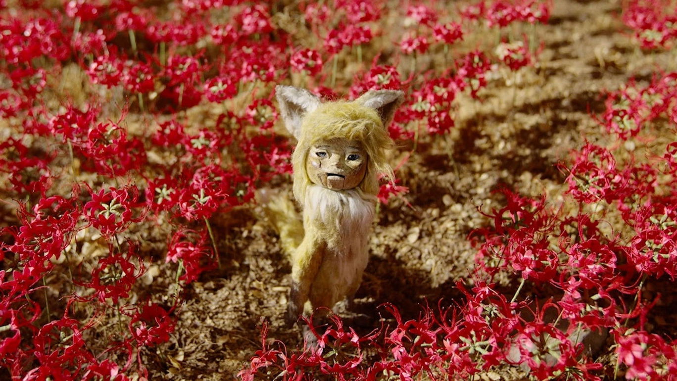 Gon, the Little Fox Background