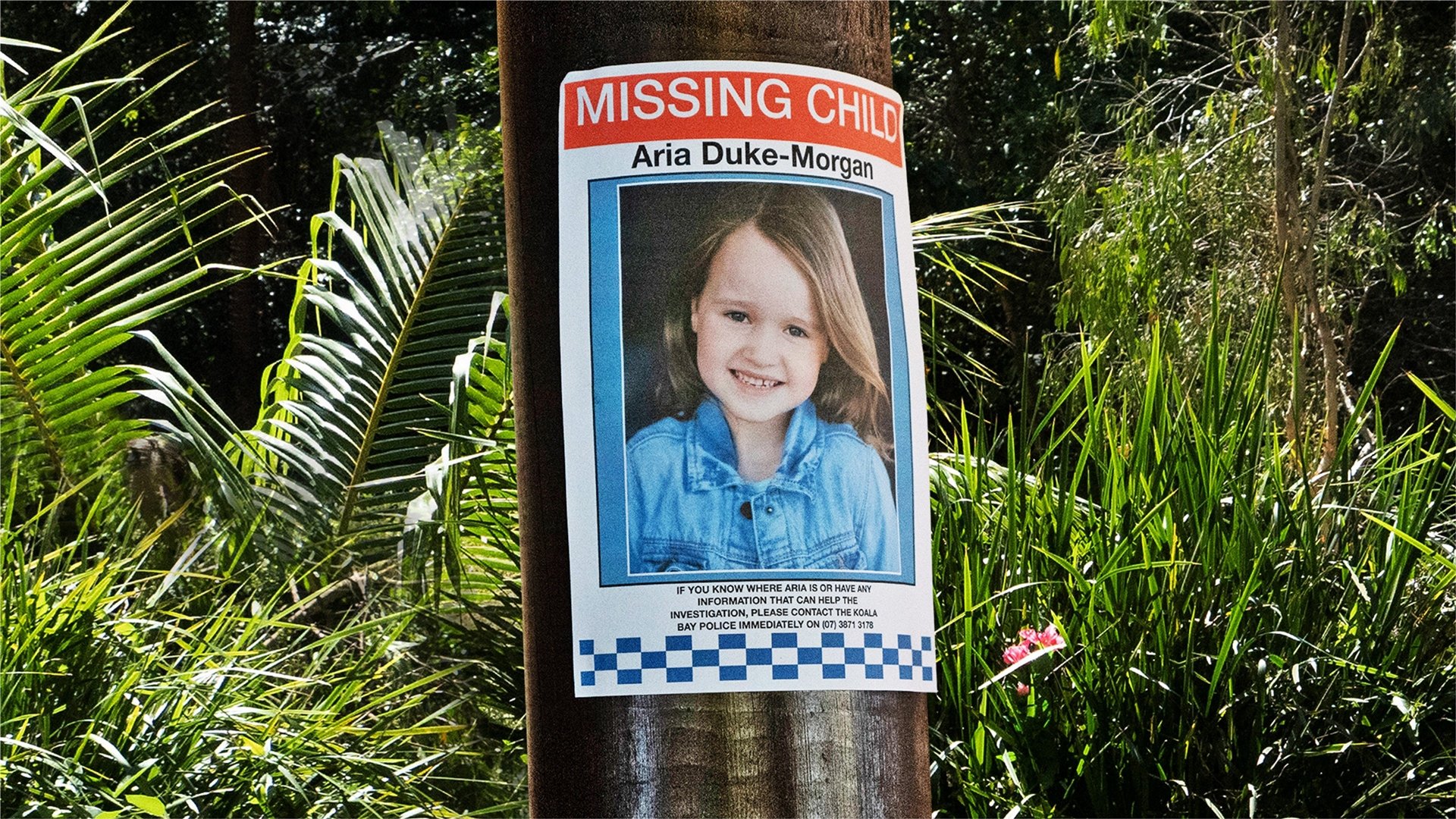 Kidnapped Background