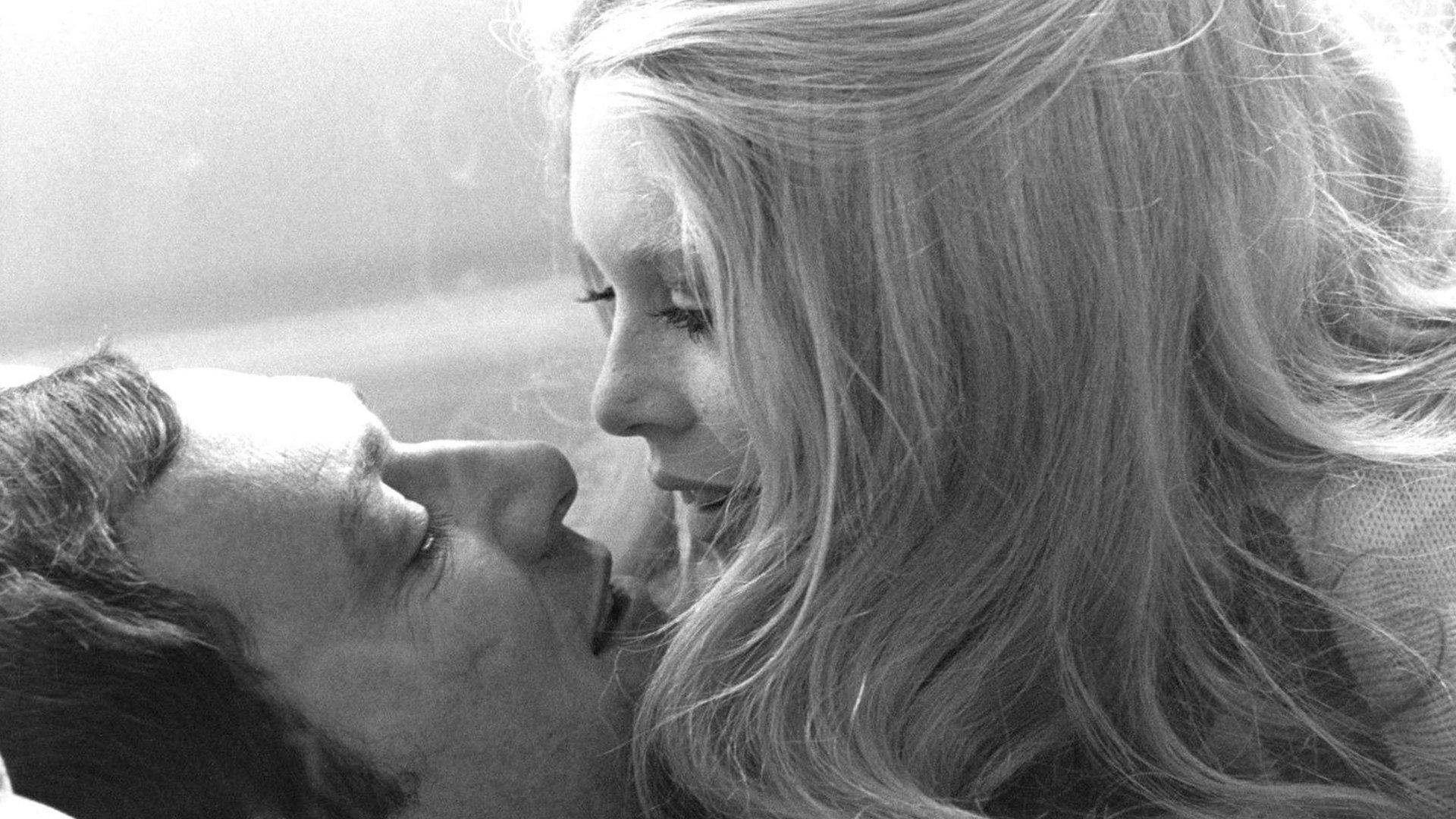 The Vixen Background