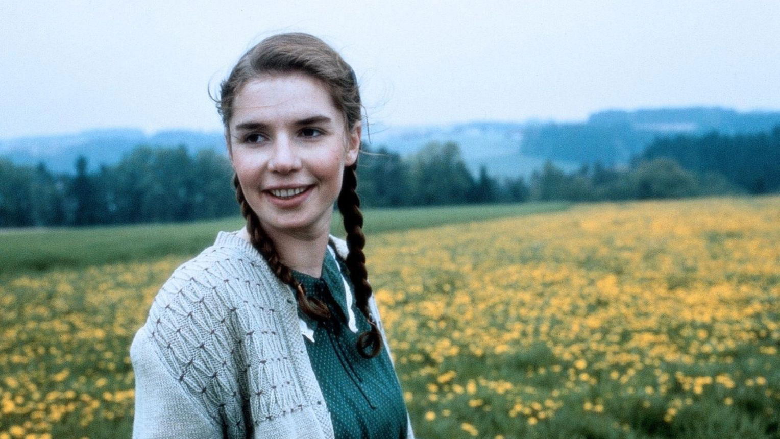 Autumn Milk Background