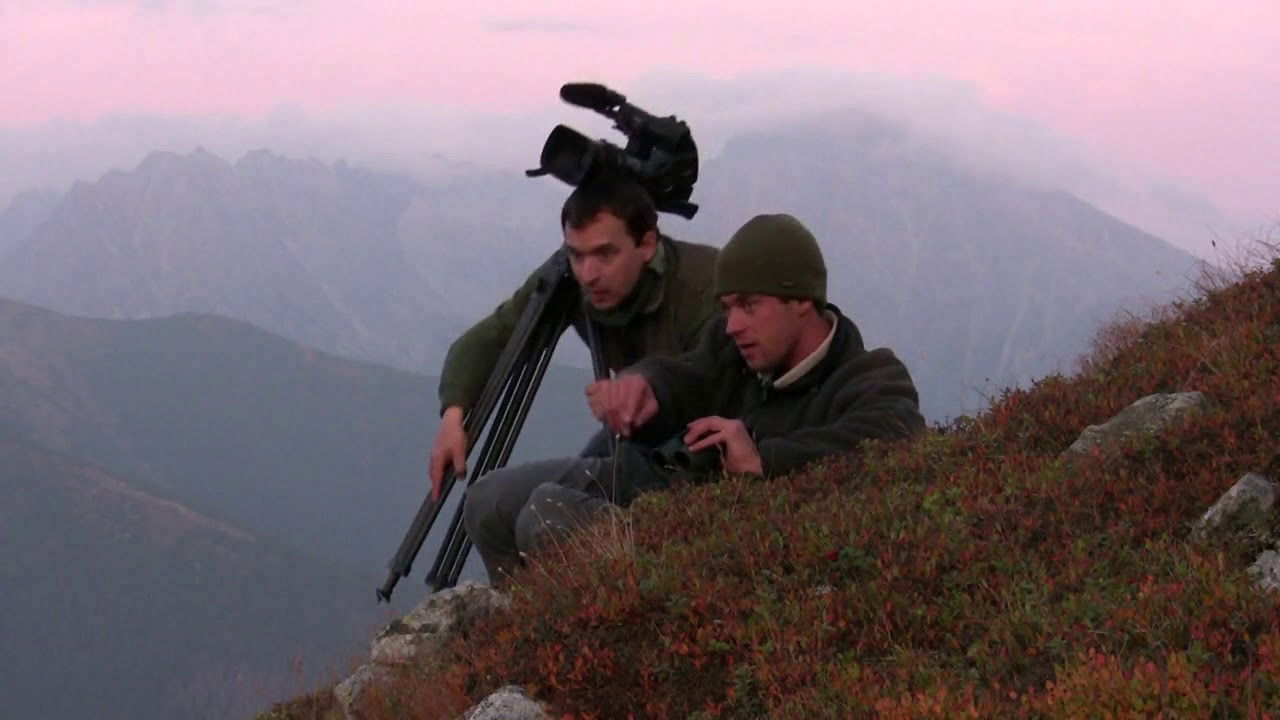 Strážca divočiny Background