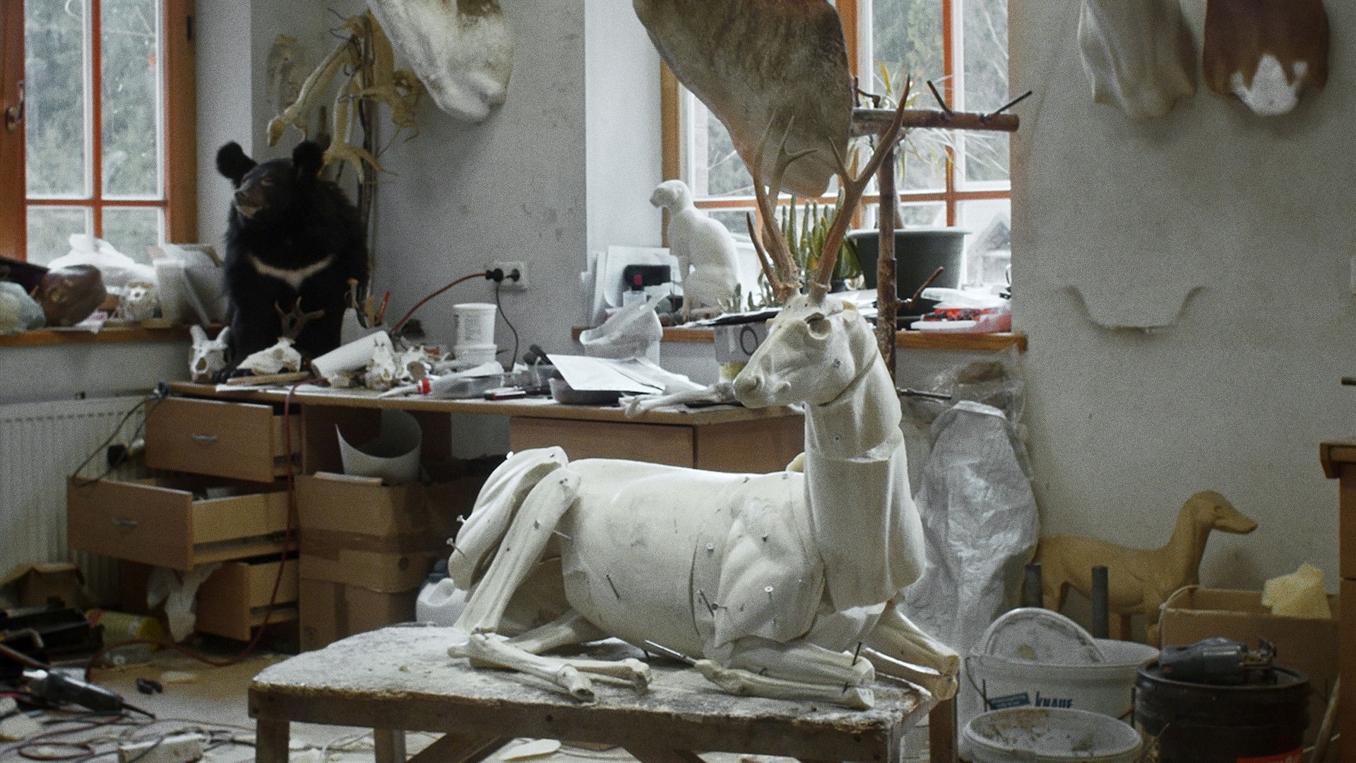 Animus Animalis (A Story about People, Animals and Things) Background