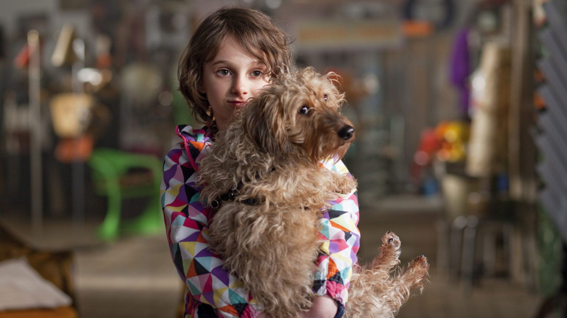 Taking Chances Background