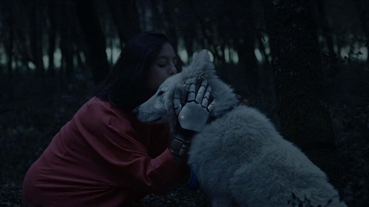 Black Hollow Cage Background