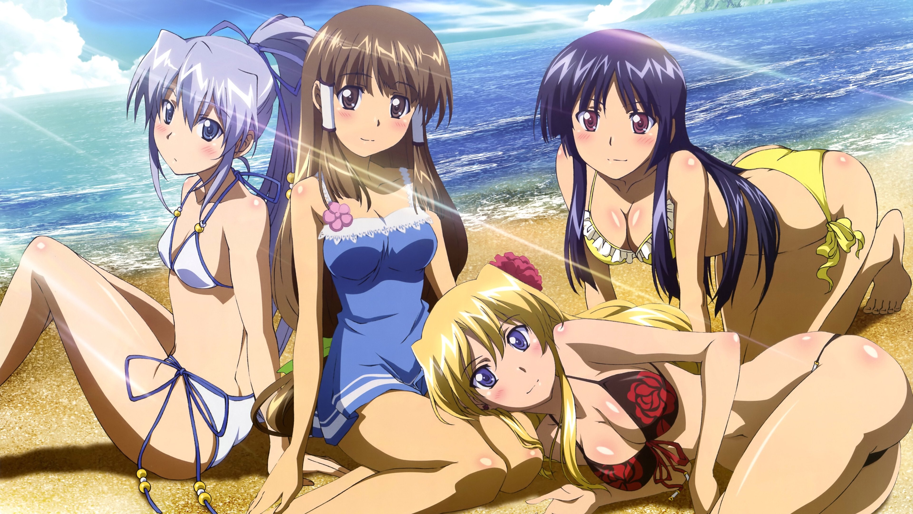 Campione! Background