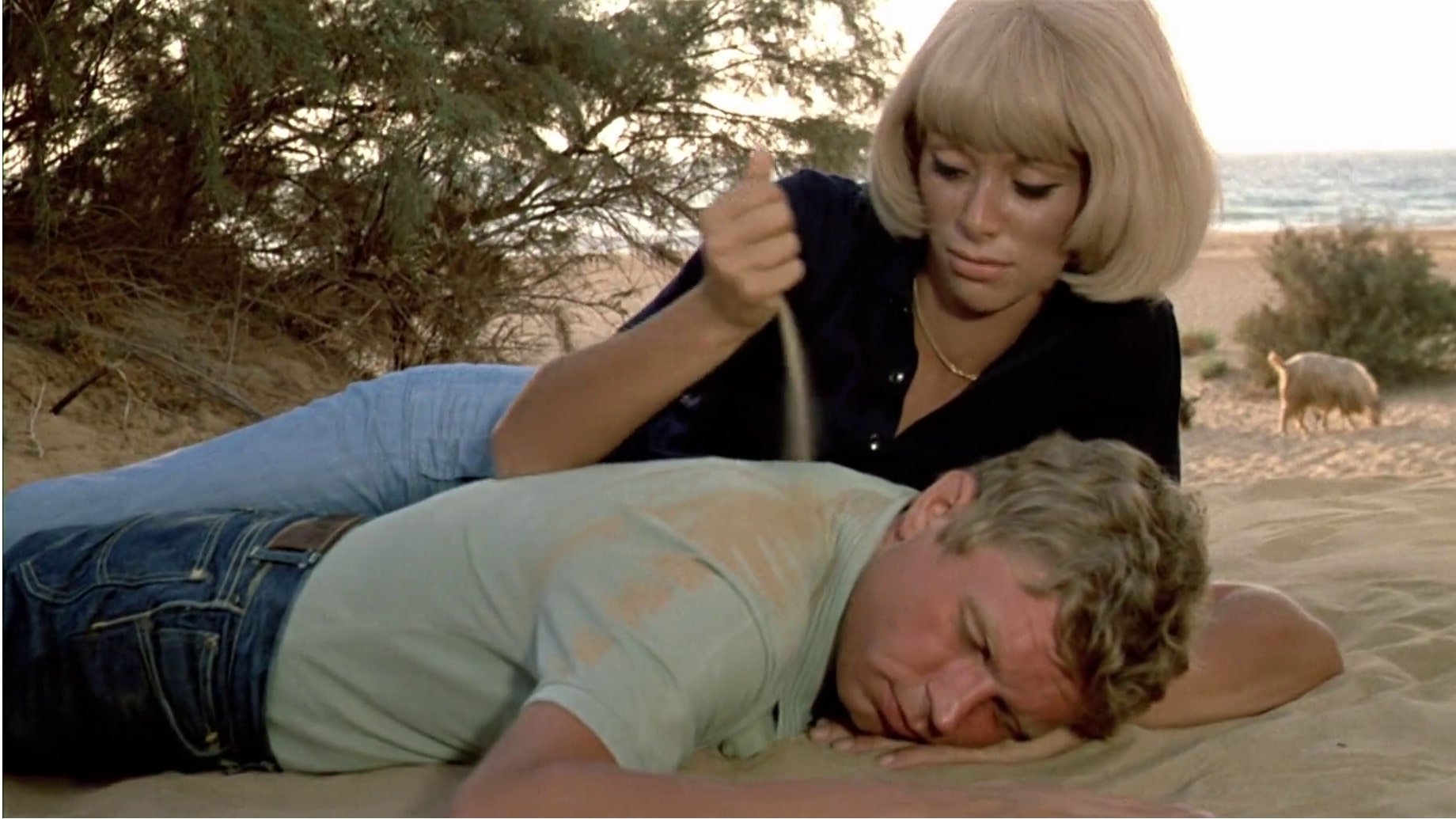 The Big Grasshopper Background