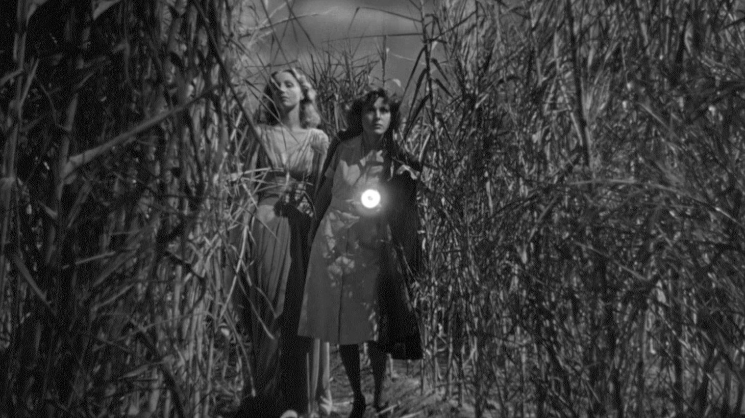 I Walked with a Zombie Background