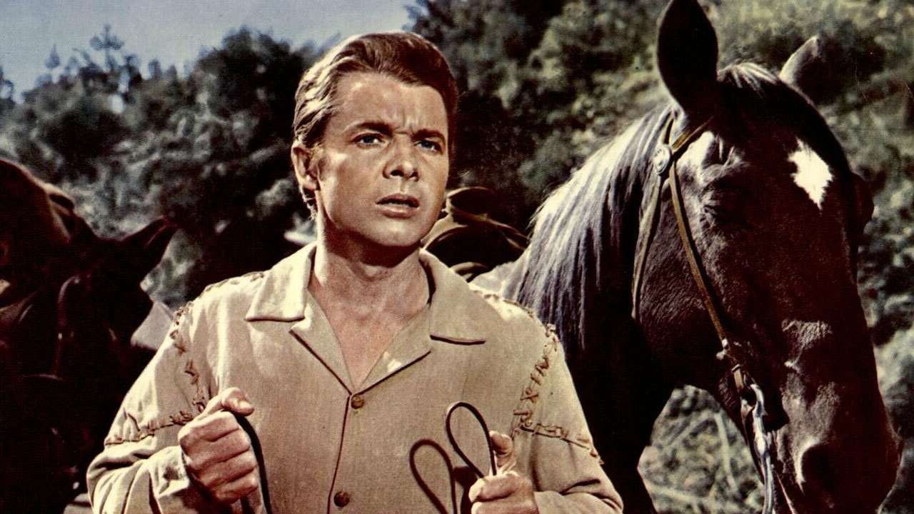 The Wild and the Innocent Background