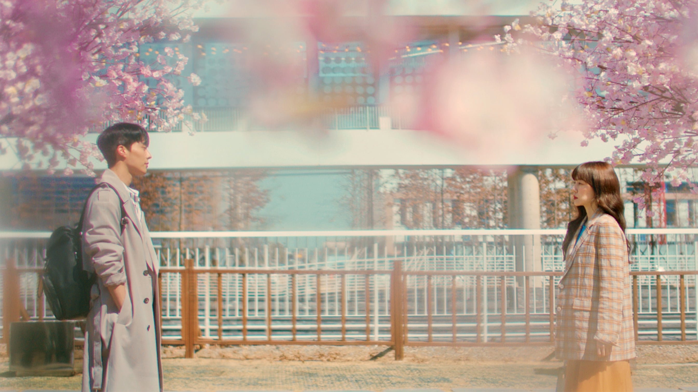 Search: WWW Background