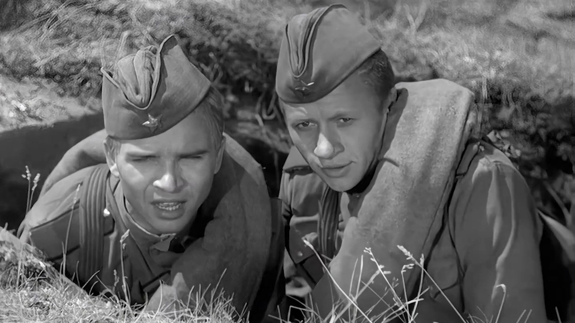 Maksim Perepelitsa Background